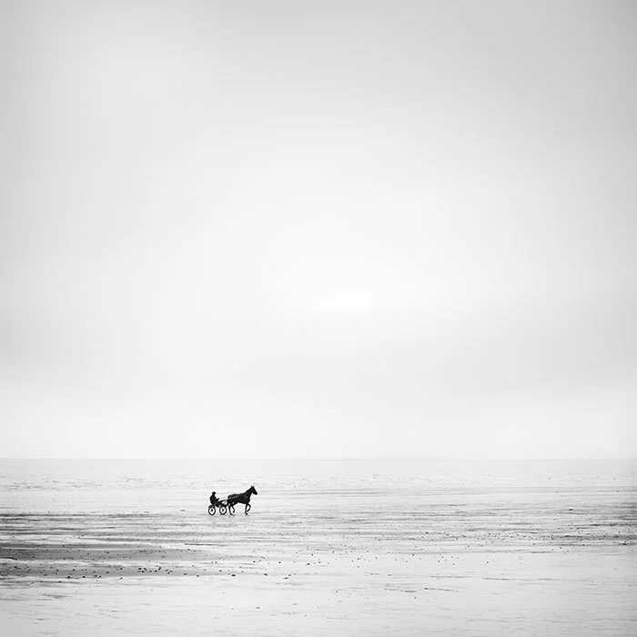 Harness Racing Horse on Empty Beach – France | Gerald Berghammer