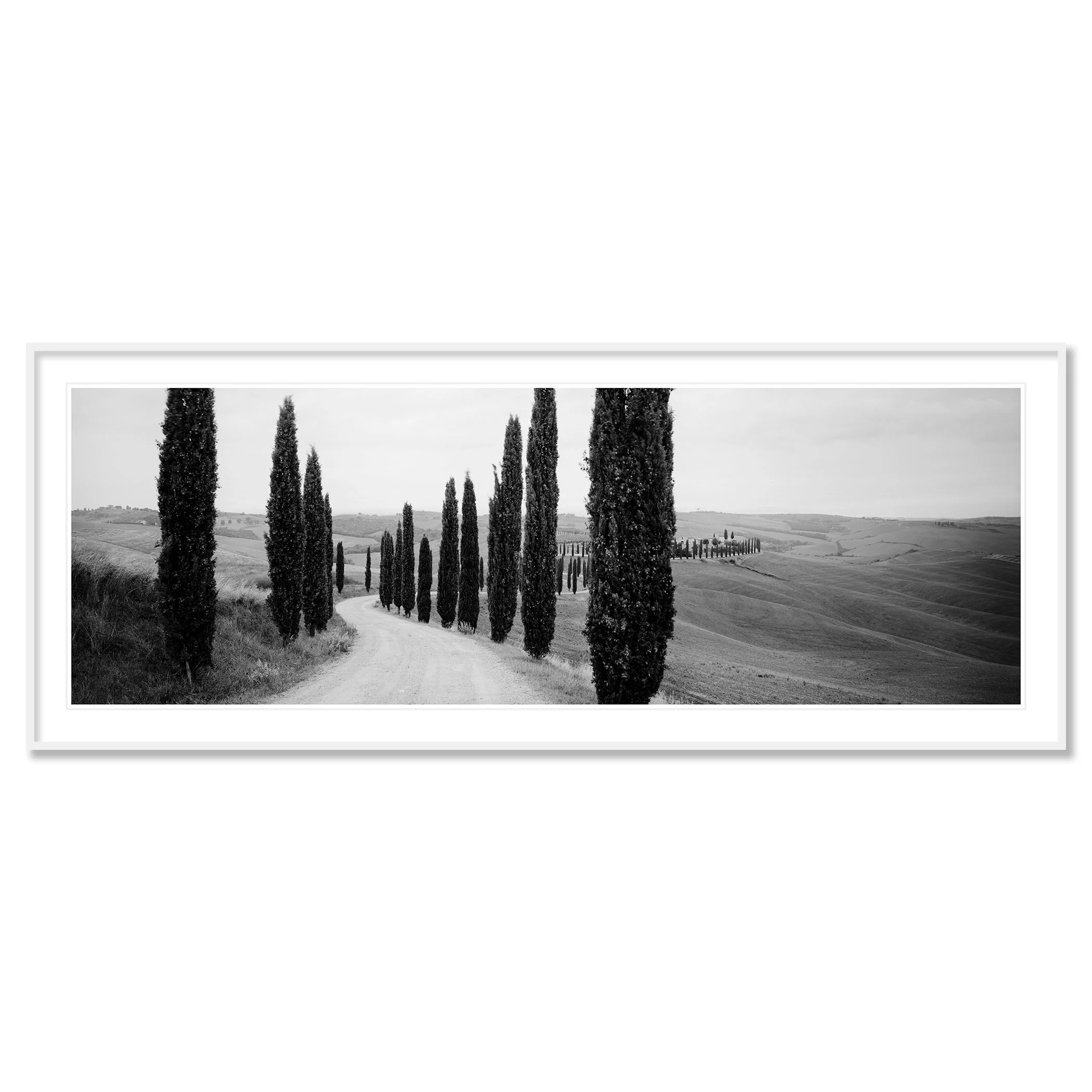 © 2020 Gerald Berghammer - Black and white photography. A winding dirt road through rolling hills lined with tall, slender cypress trees, typical of the Tuscan landscape. Classic framed white