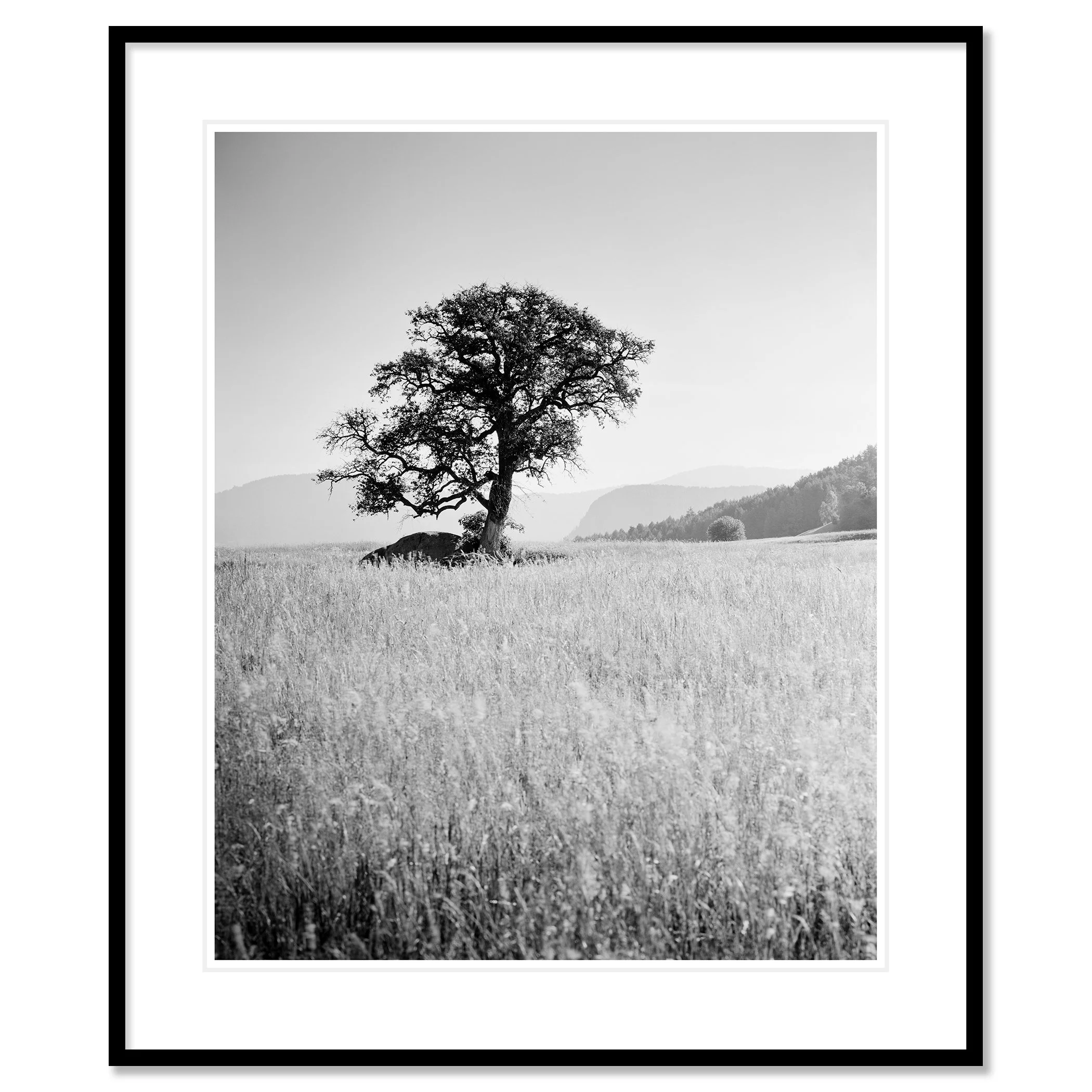 Morning Sun by Gerald Berghammer as an archival pigment print in a black aluminium frame with white mount.