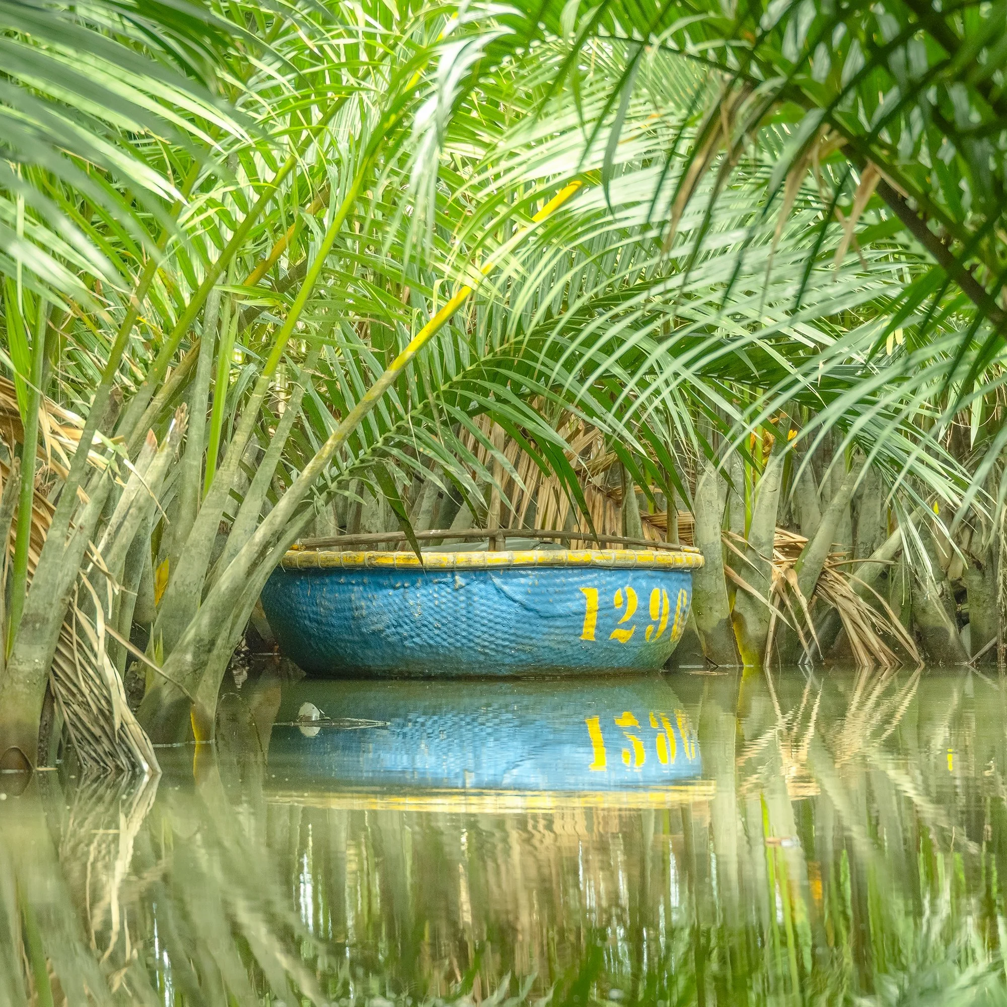 © 2025 Gerald Berghammer - Color waterscape photography. A small coconut boat among dense green nipa palm trees on a calm water body, with its reflection visible. Print detail 3