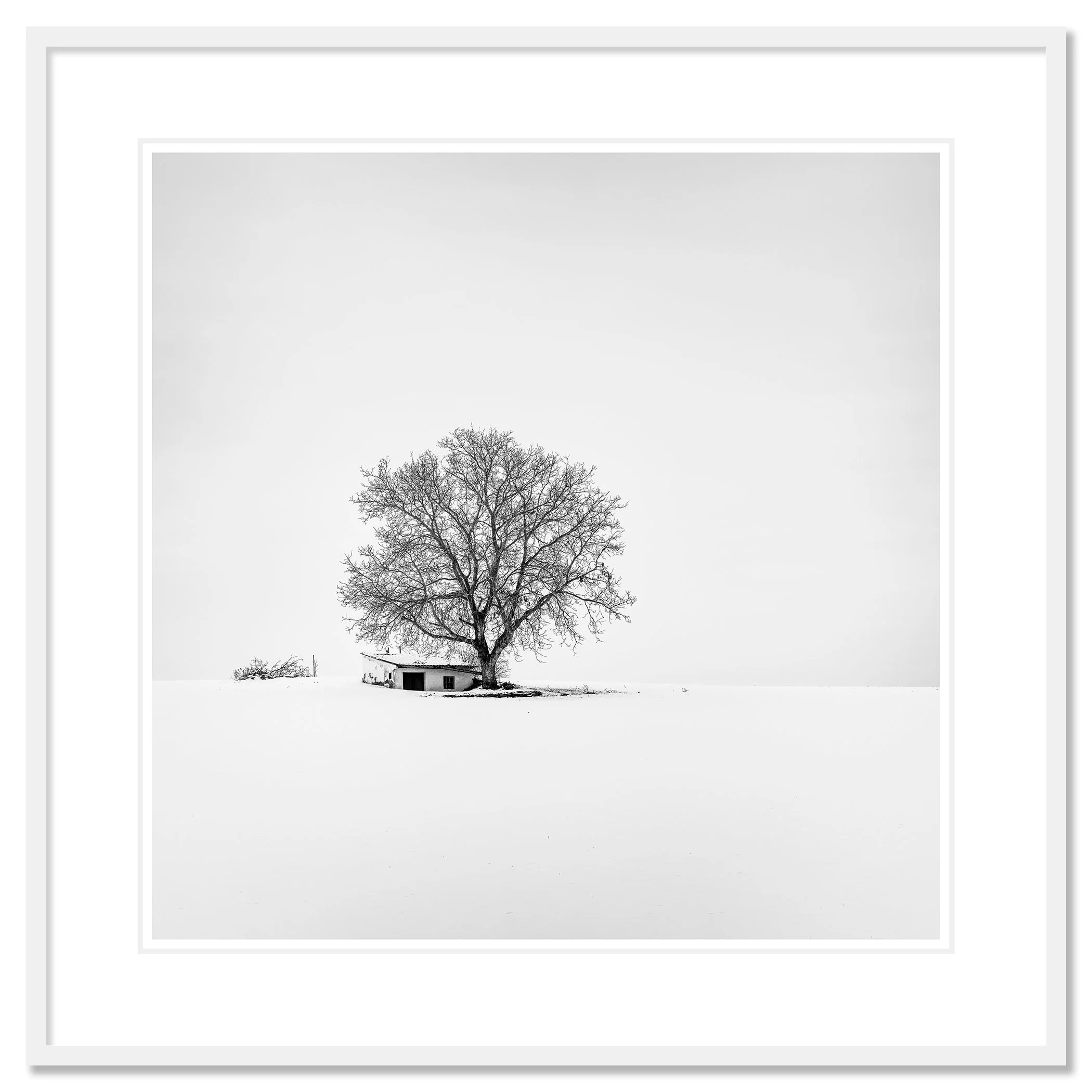Wine Press House Winter Study 2 by Gerald Berghammer in a white aluminium frame with mount.