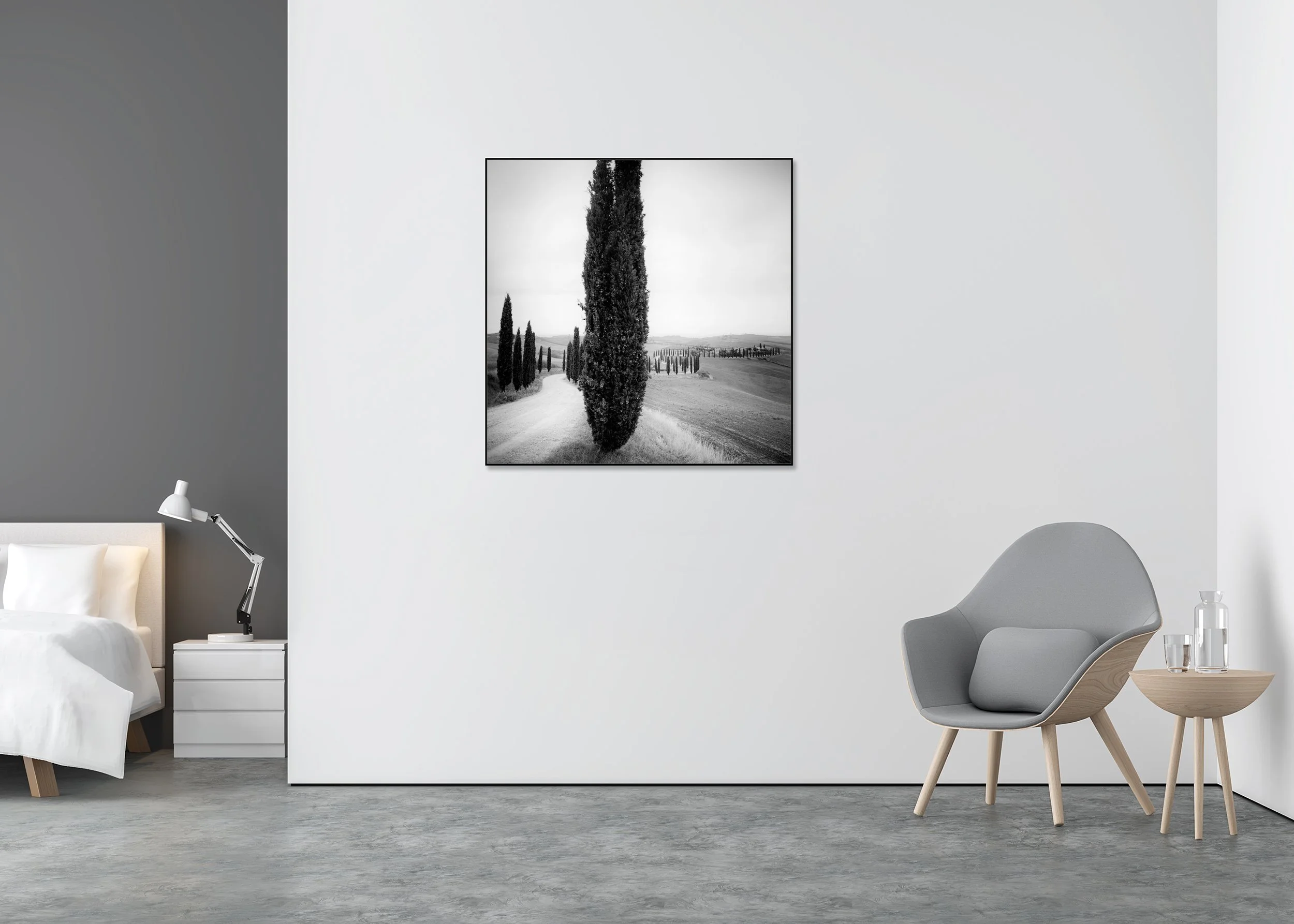 Cypress Trees Study 2 displayed in a modern interior as a black-and-white Dibond print in a black aluminium ArtBox by Gerald Berghammer.