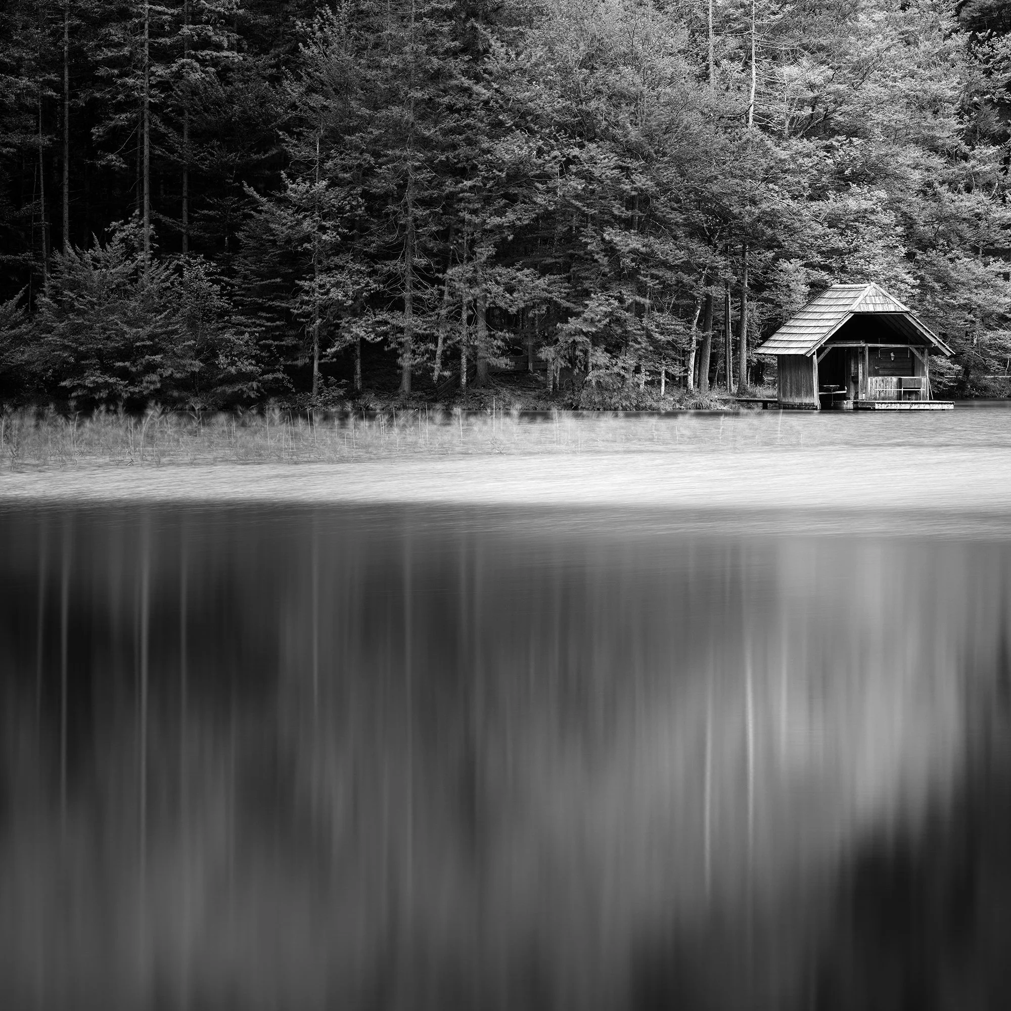 Detail of Wooden Boathouse, Study 2 showing the forest, boathouse and soft reflections on Langbathsee, Austria, by Gerald Berghammer.