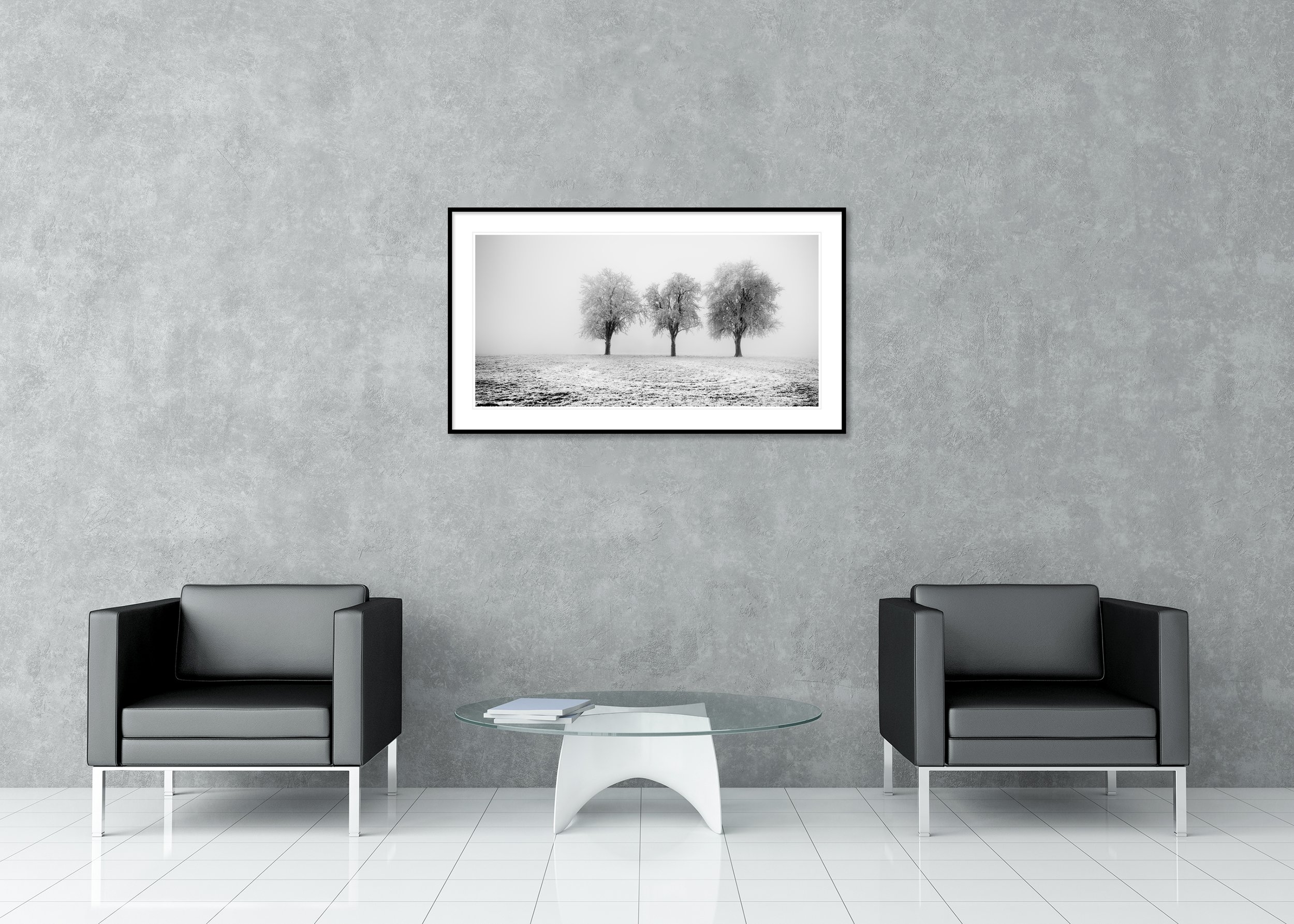Black and white archival pigment print of three icy trees in a snow-covered field under a foggy sky, in a classic frame with a mount.