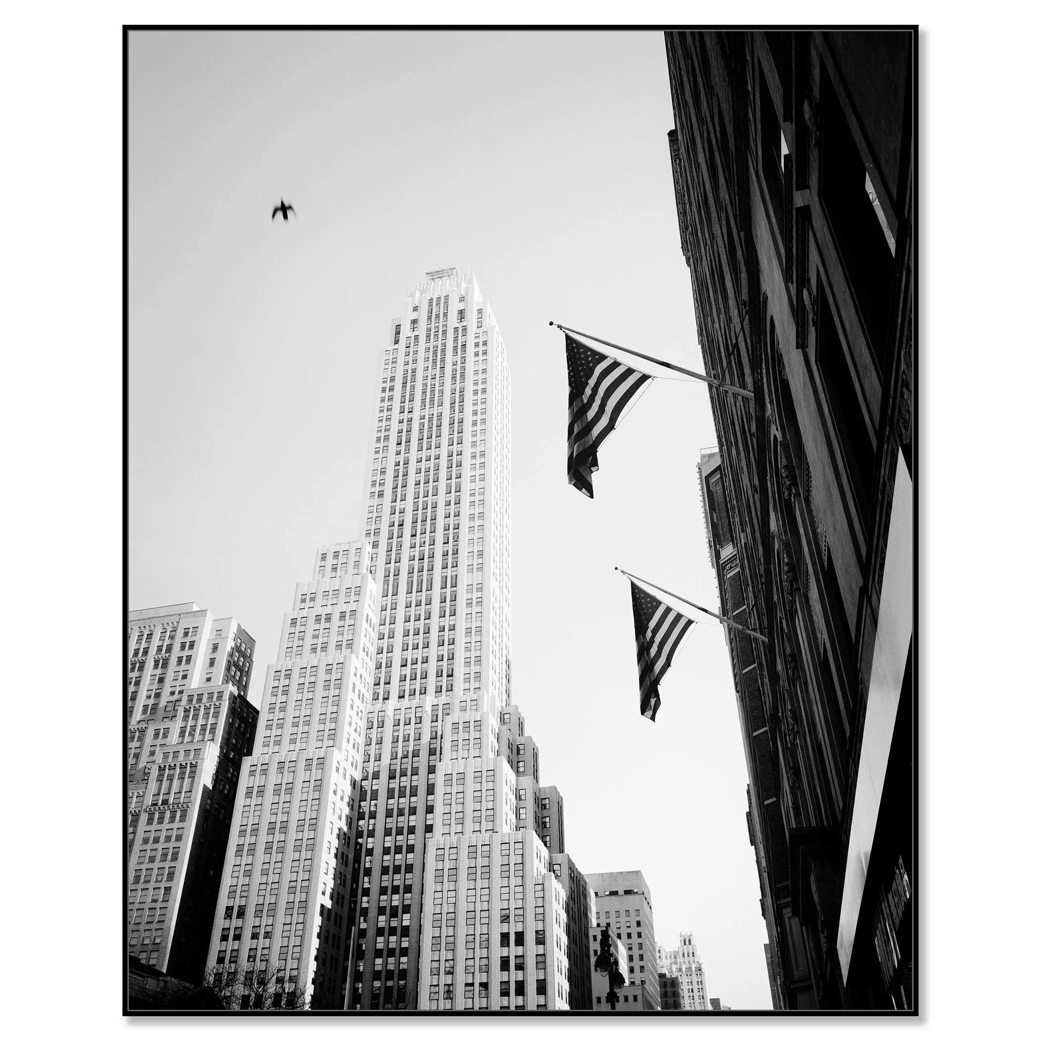 Bird in the City – New York City, USA, shown as a black-and-white photograph in a black aluminium ArtBox frame.