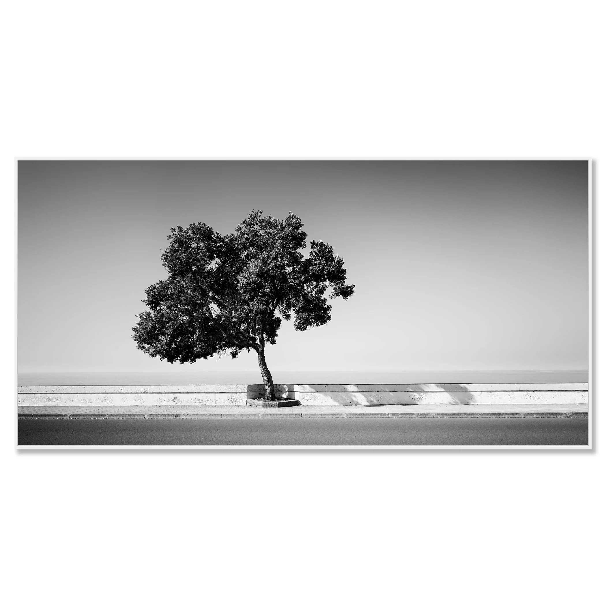 Tree by the Waterfront by Gerald Berghammer, black-and-white Dibond print presented in a white aluminium ArtBox frame.