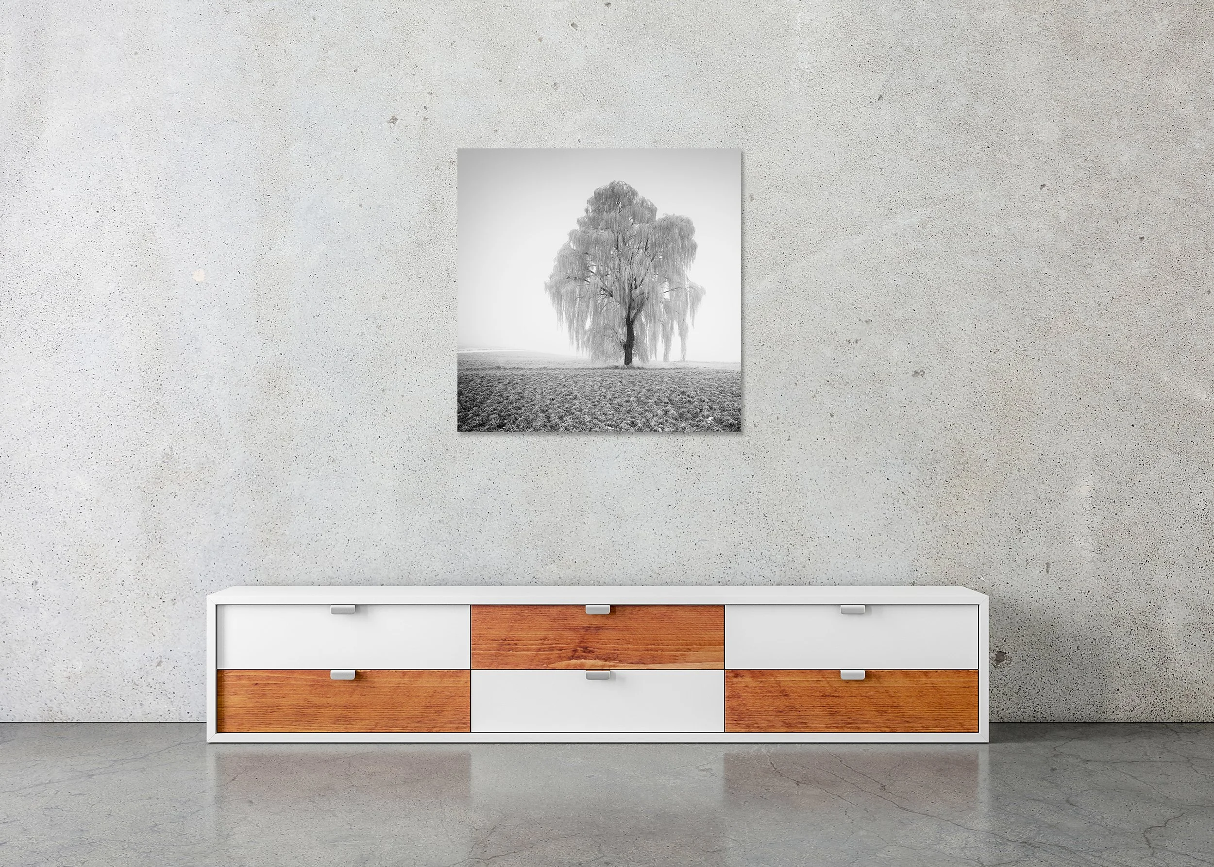 Frozen Willow Tree Study 1 displayed in a modern interior as a frameless black-and-white aluminium Dibond print by Gerald Berghammer.