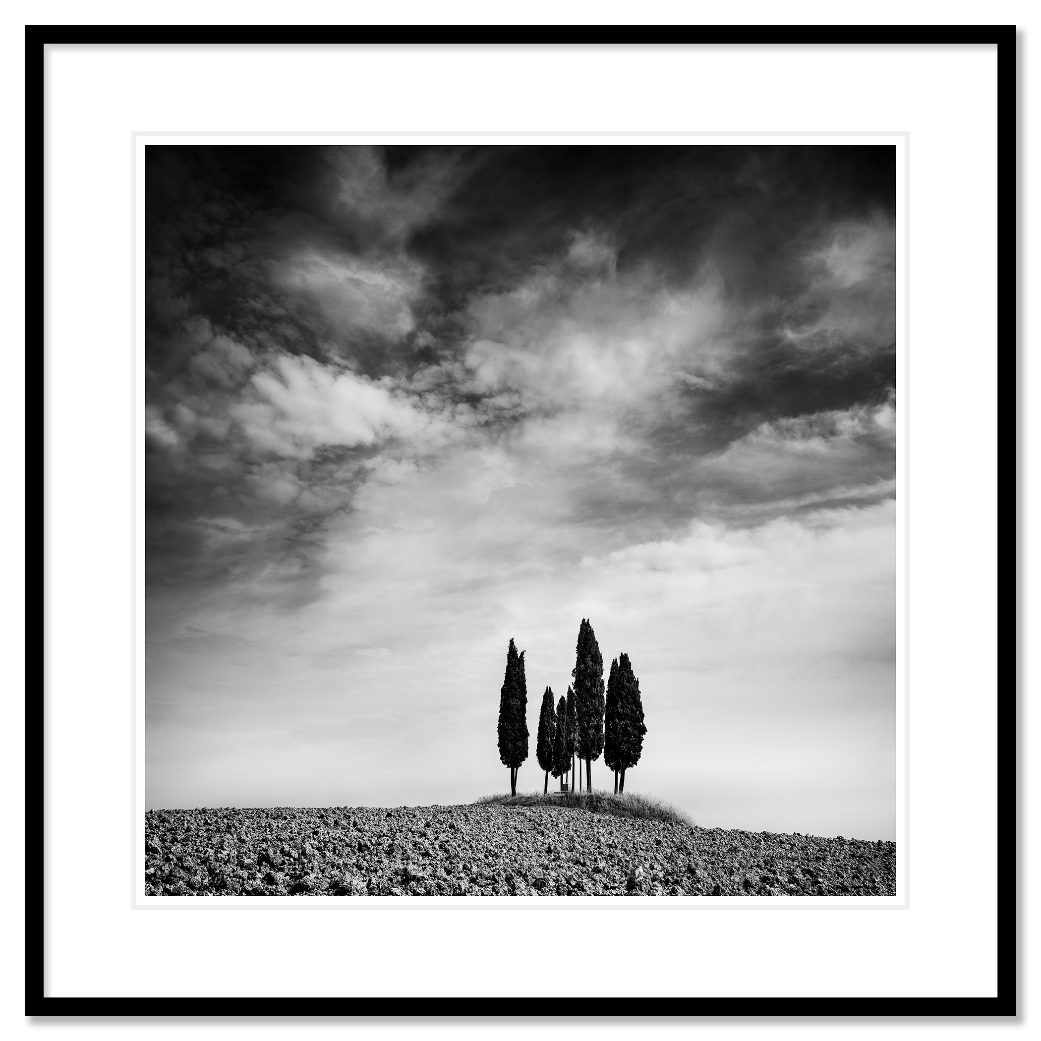 Circle of Cypress Trees Study 2 presented in a black aluminium frame with a white mount by Gerald Berghammer.