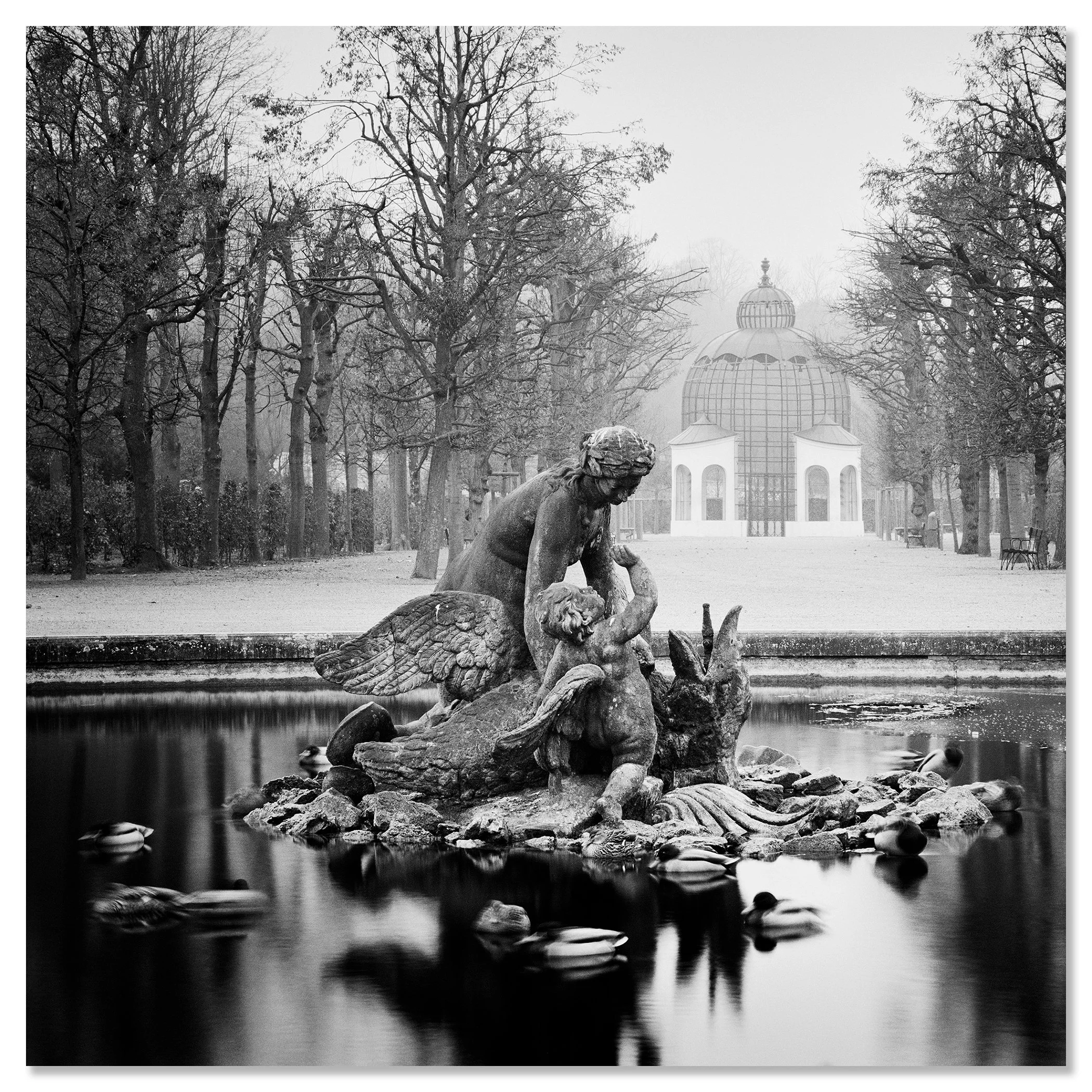 Duck Race by Gerald Berghammer presented as a frameless black-and-white artwork mounted on aluminium Dibond.