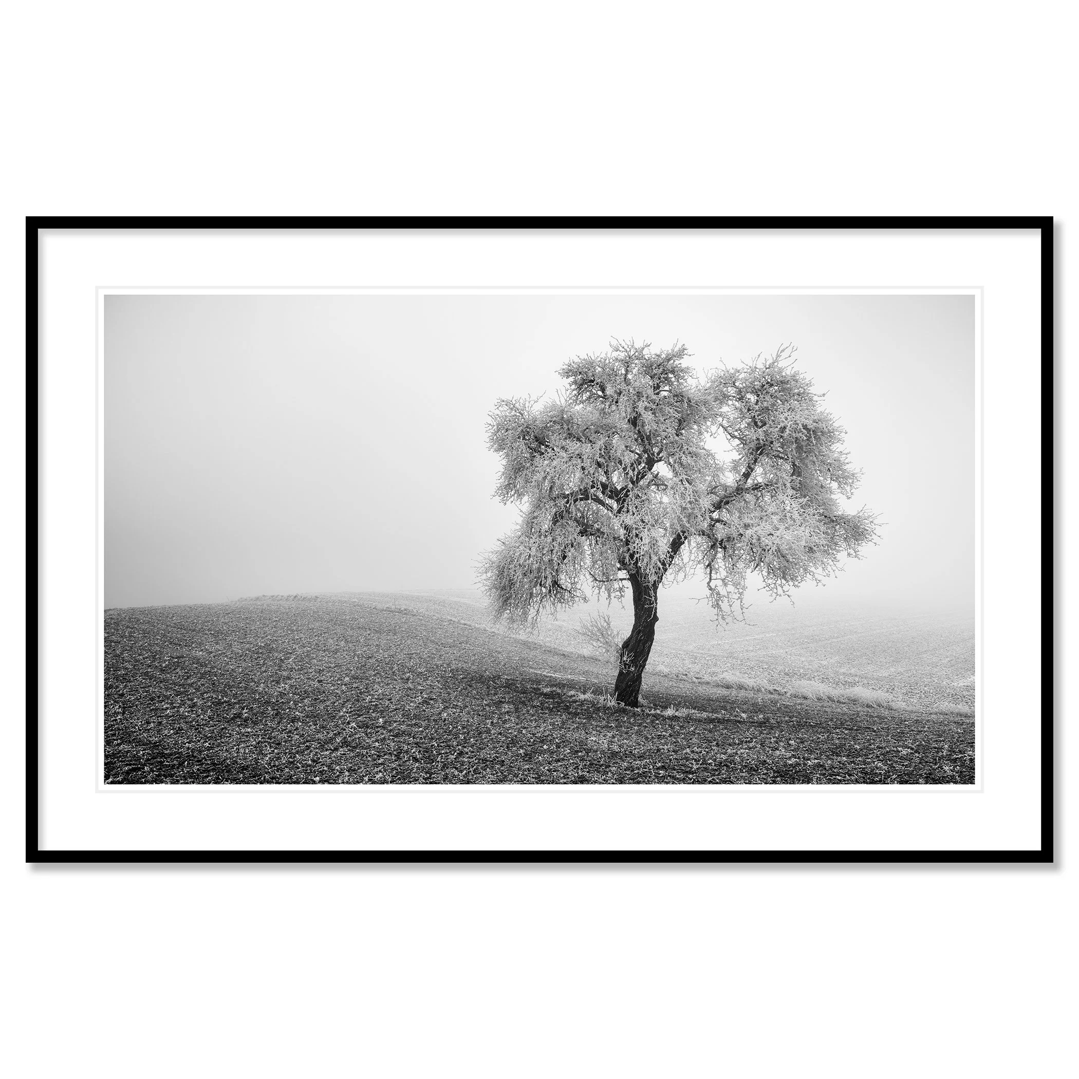 Tree in Frozen Field Panorama Study 1 – archival pigment print in a black aluminium frame with a white mount by Gerald Berghammer.