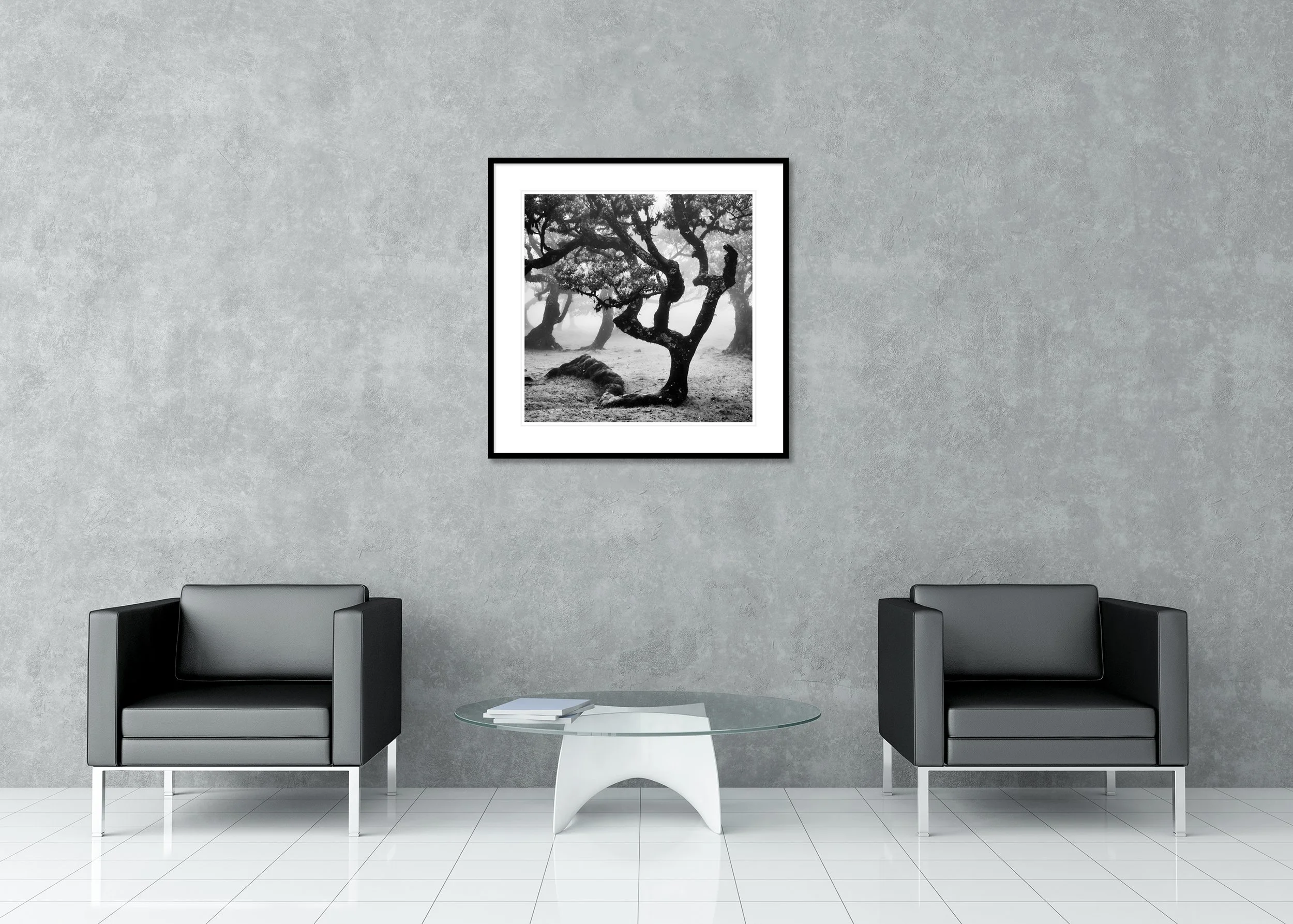 Black-and-white photograph of twisted ancient trees in a foggy forest landscape; fine art archival pigment print in a classic frame with mount.