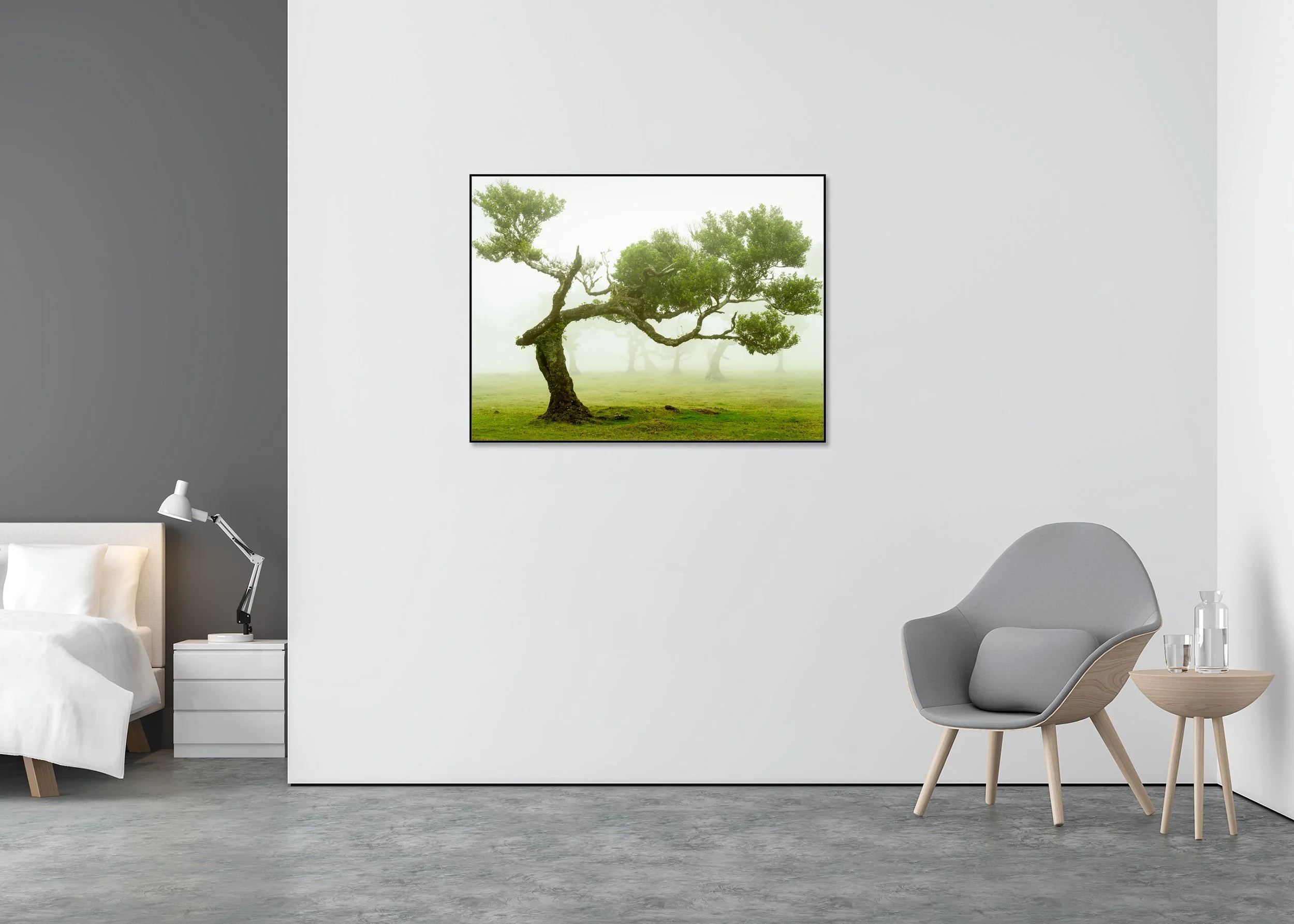 Chromaluxe-framed photograph by Gerald Berghammer of a windswept tree in a foggy green meadow, with distant trees fading into mist.
