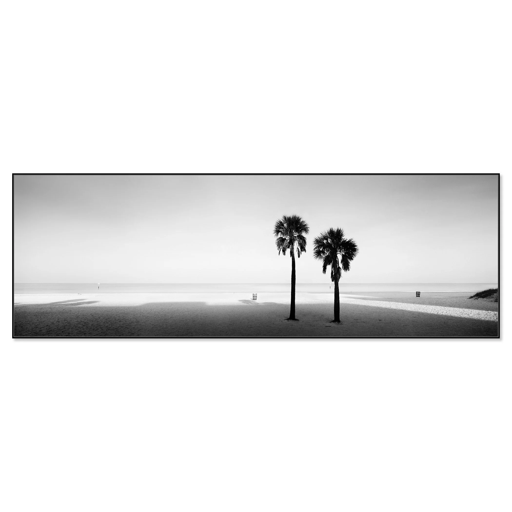 Two Palms Study 1 by Gerald Berghammer, black-and-white Dibond print in a black aluminium ArtBox frame.