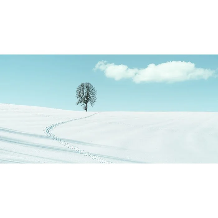Winter Path to the Lone Tree – Austria | Gerald Berghammer