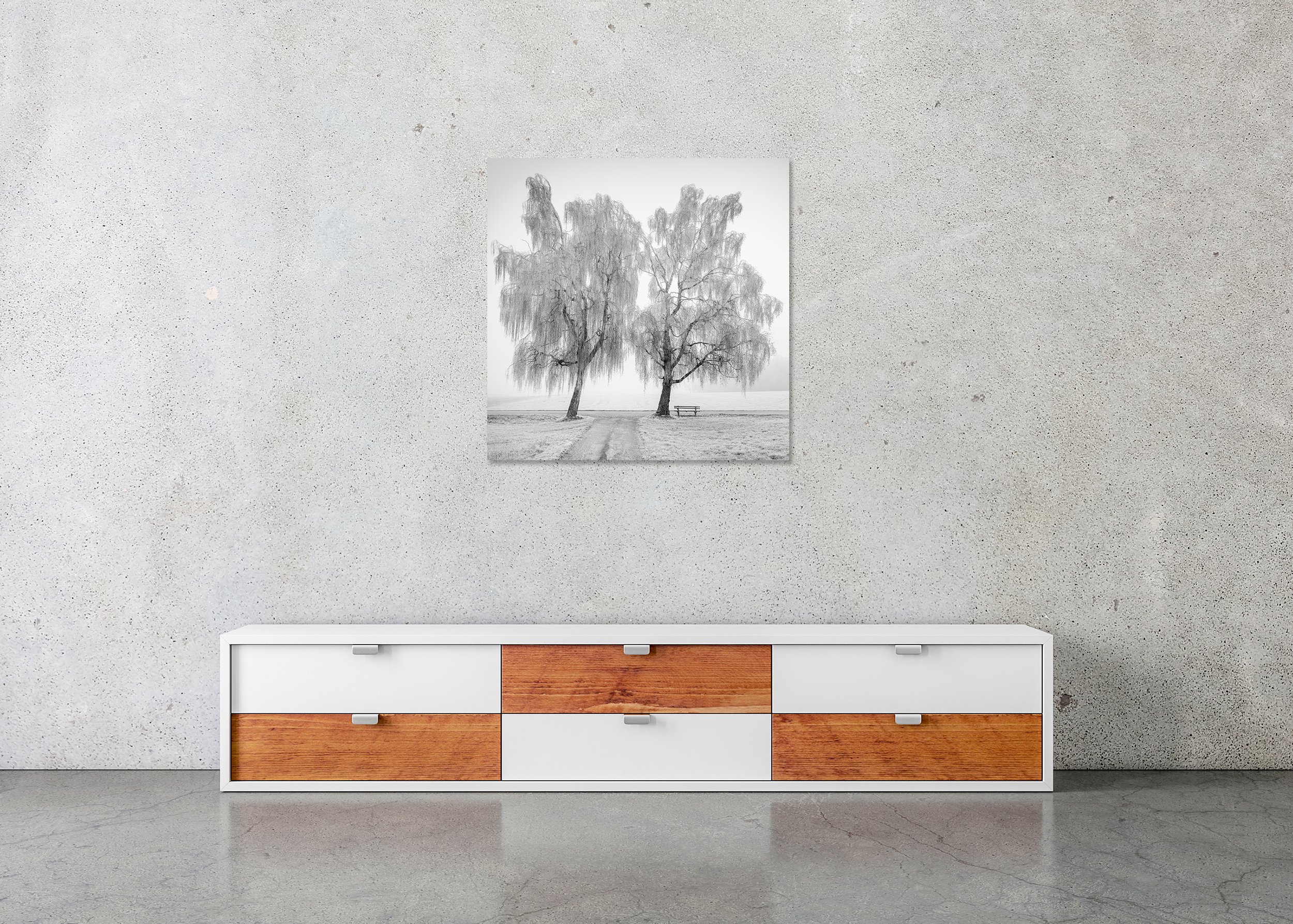 Place to Linger, Winter Study 1 displayed above a low cabinet as a frameless black-and-white aluminium Dibond print by Gerald Berghammer.