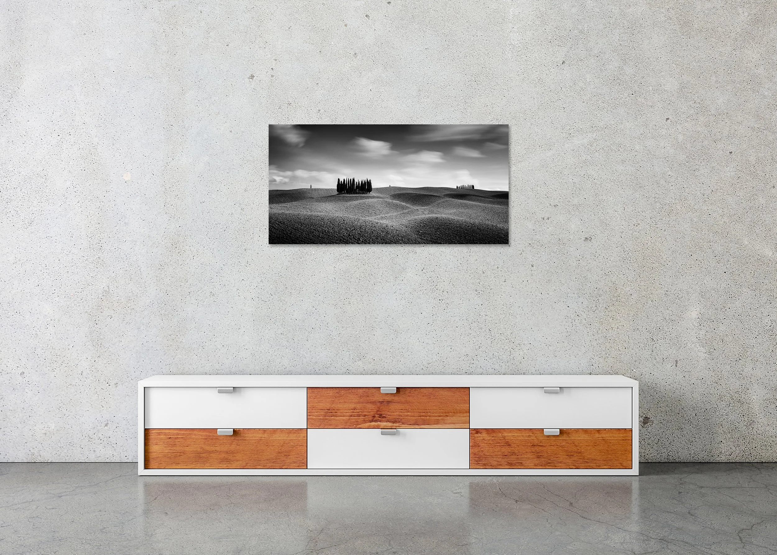 Cypress Hill Panorama Study 3 displayed in a modern interior as a frameless black-and-white artwork mounted on aluminium Dibond by Gerald Berghammer.