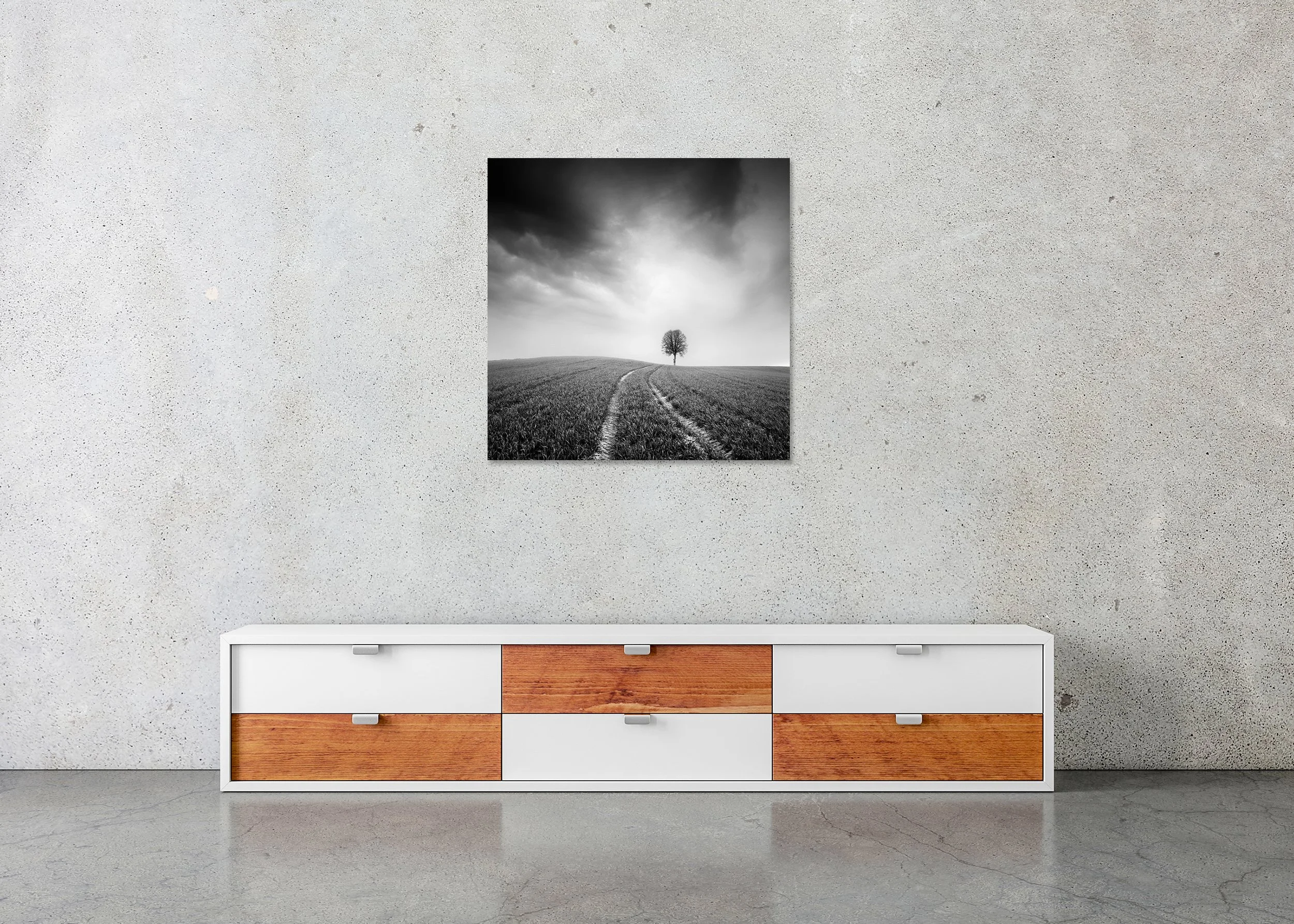 Farmland, Study 3 – Austria, frameless black-and-white photograph on aluminium Dibond displayed above a low cabinet.