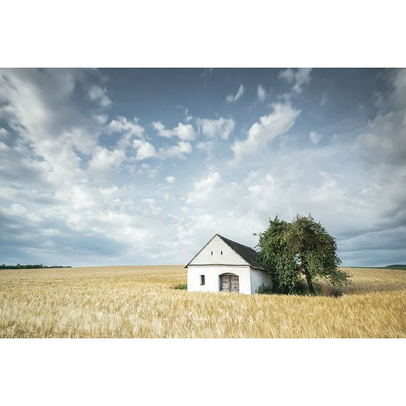 Gerald Berghammer - Wine Press House in the Wheat Field, Austria