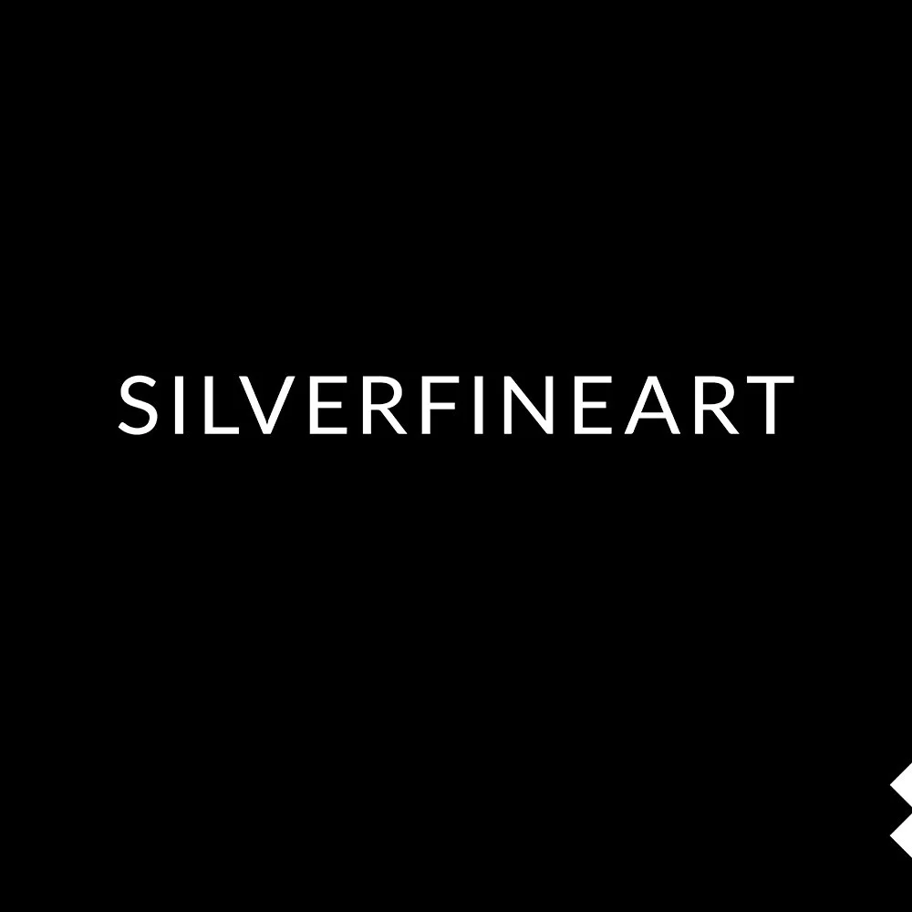 SILVERFINEART - photo gallery for contemporary art vienna