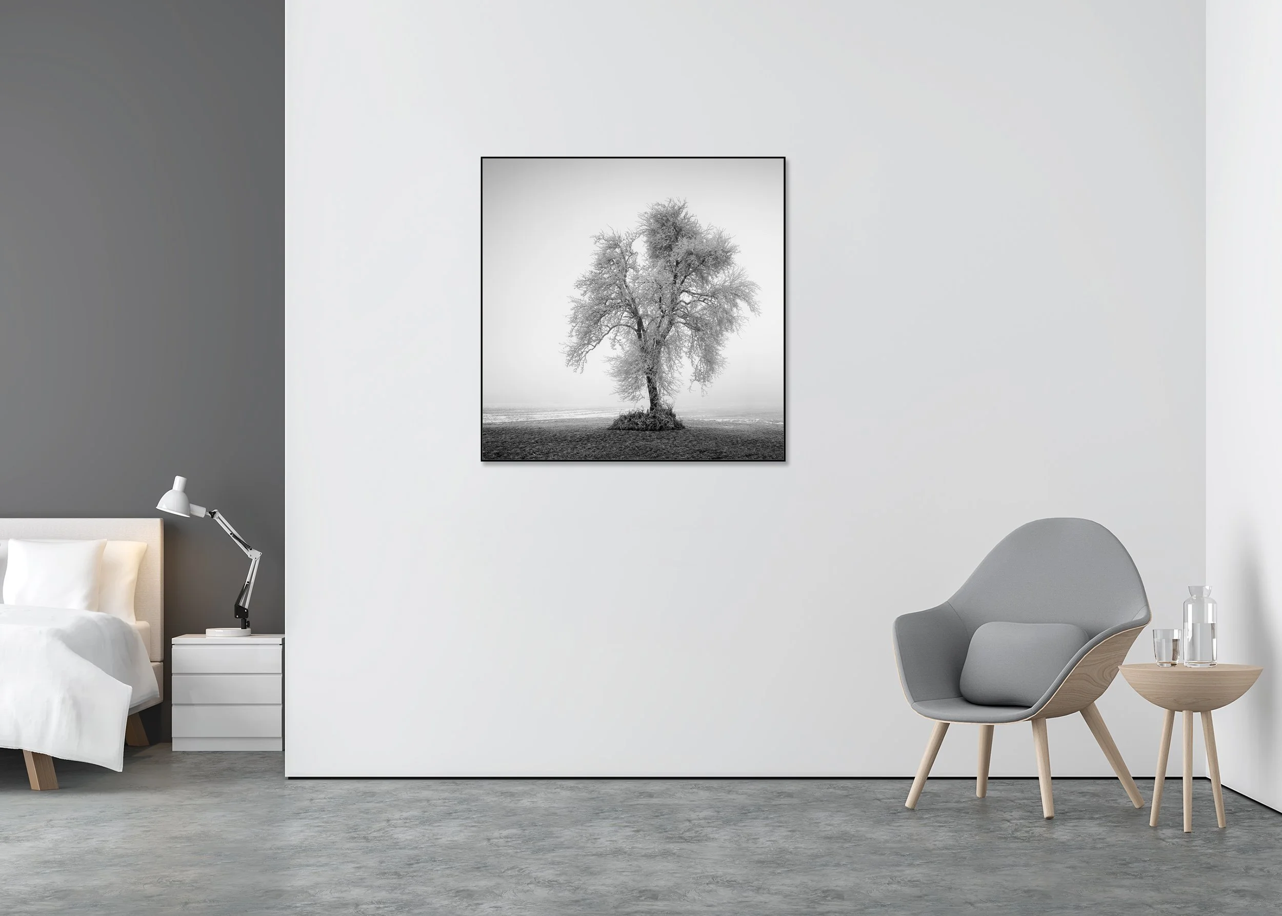 Hoarfrosted Lonely Tree, Study 1 displayed in a modern interior, mounted on aluminium Dibond in a black ArtBox frame by Gerald Berghammer.