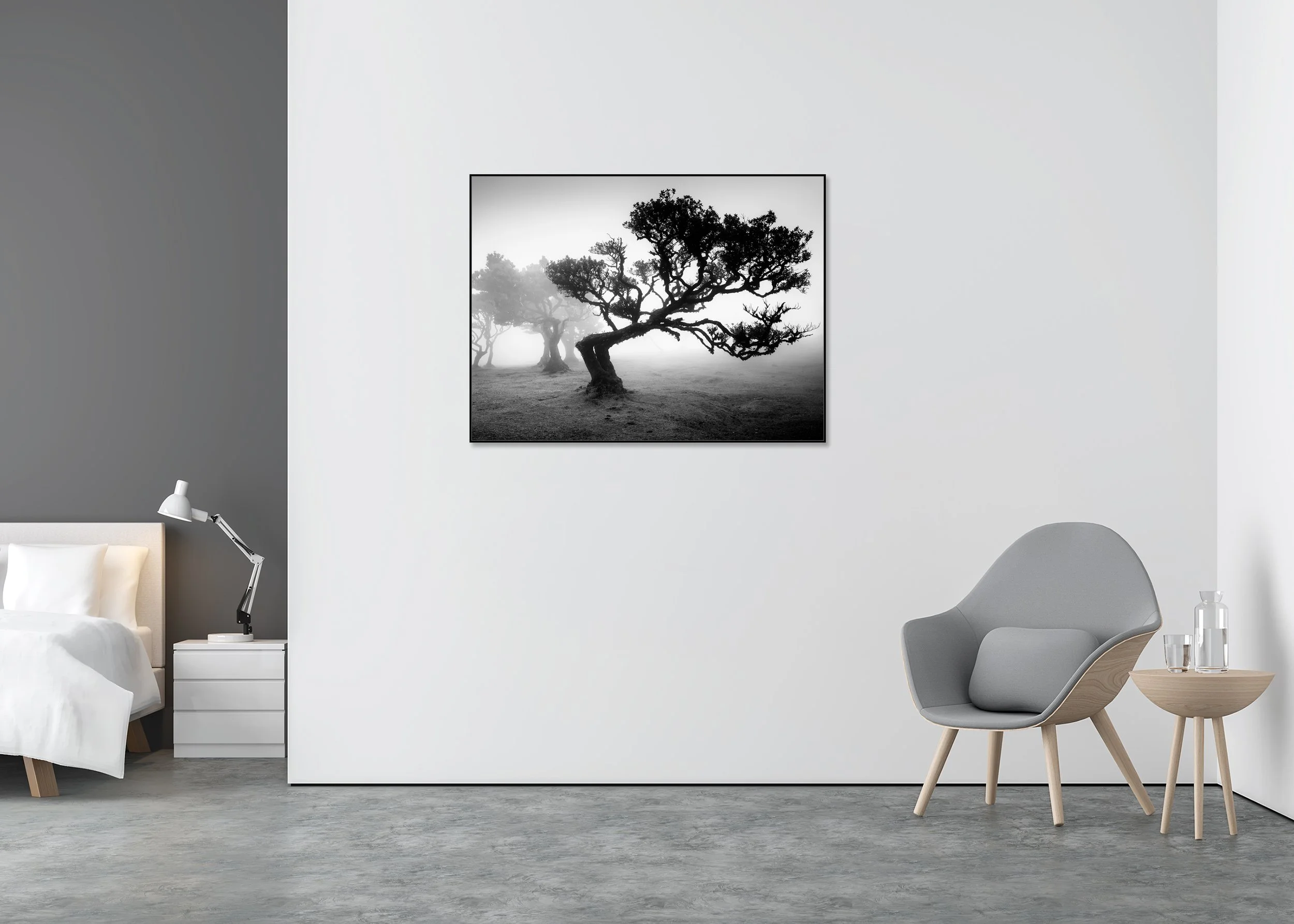 Ancient Laurisilva Forest Study 1, black-and-white fine art photograph of ancient laurel trees in dense mist in Fanal Forest, Madeira. Photo by Gerald Berghammer.