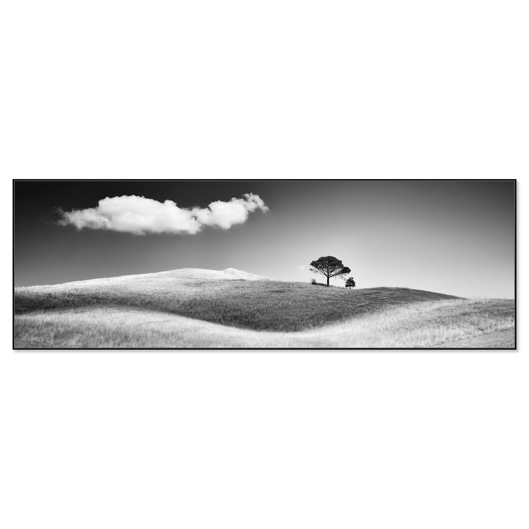 Panoramic Tuscany landscape, Italy, with Italian stone pines silhouetted on a sunlit ridge beneath a wide blue sky – framed ArtBox black