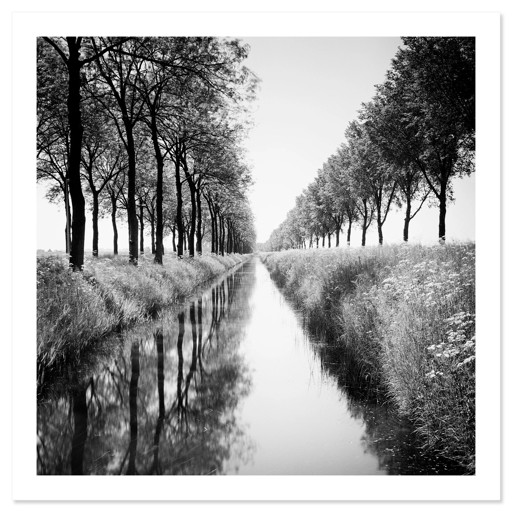 Gracht Study 1, Netherlands by Gerald Berghammer as a black-and-white archival pigment print with white border
