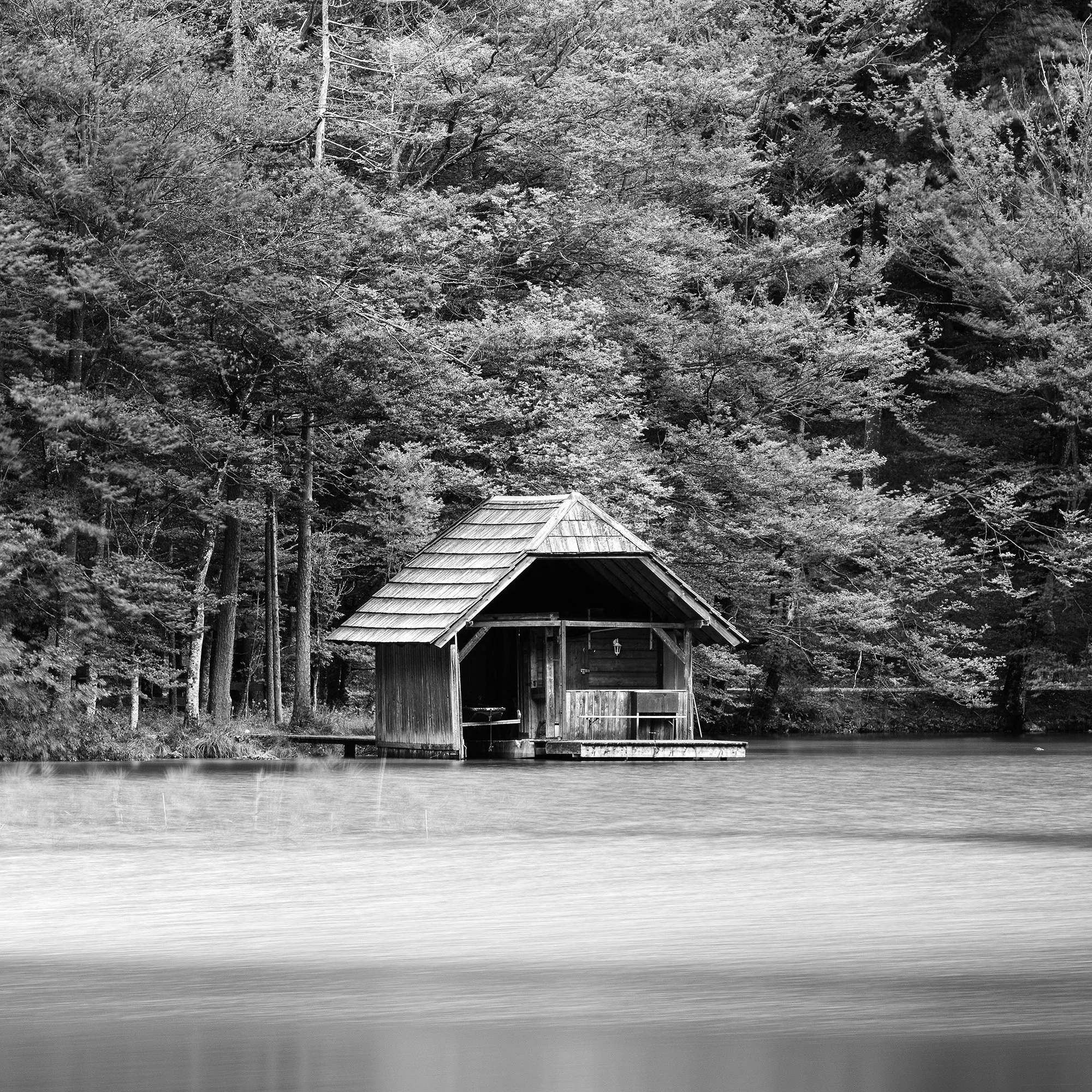 Close-up of the wooden boathouse and forest in Wooden Boathouse, Study 2 at Langbathsee, Austria, by Gerald Berghammer.