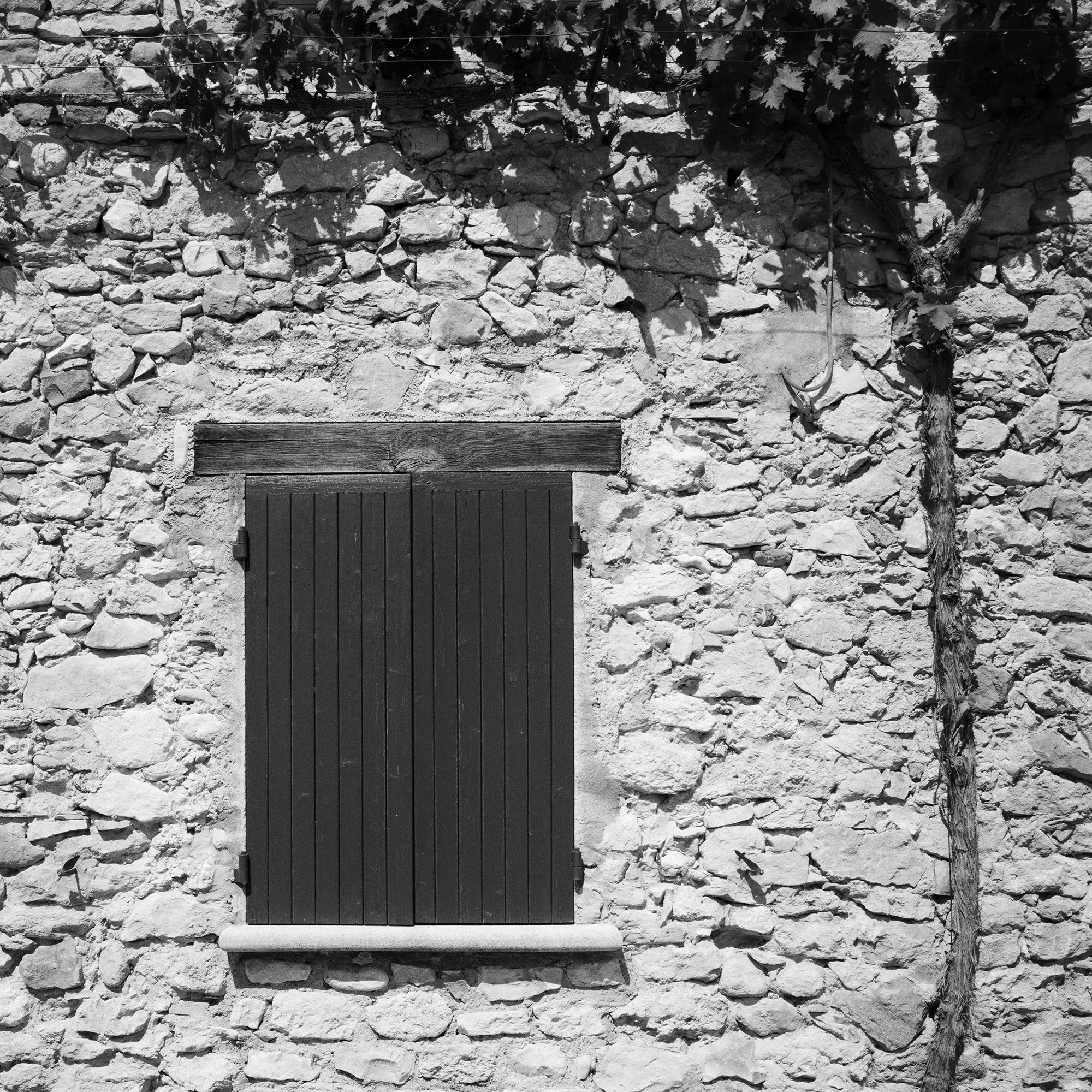Gerald Berghammer - Black & white photography. Stone wall with a closed wooden window shutter, flanked by climbing vines on both sides, and a small bench. Print detail 2