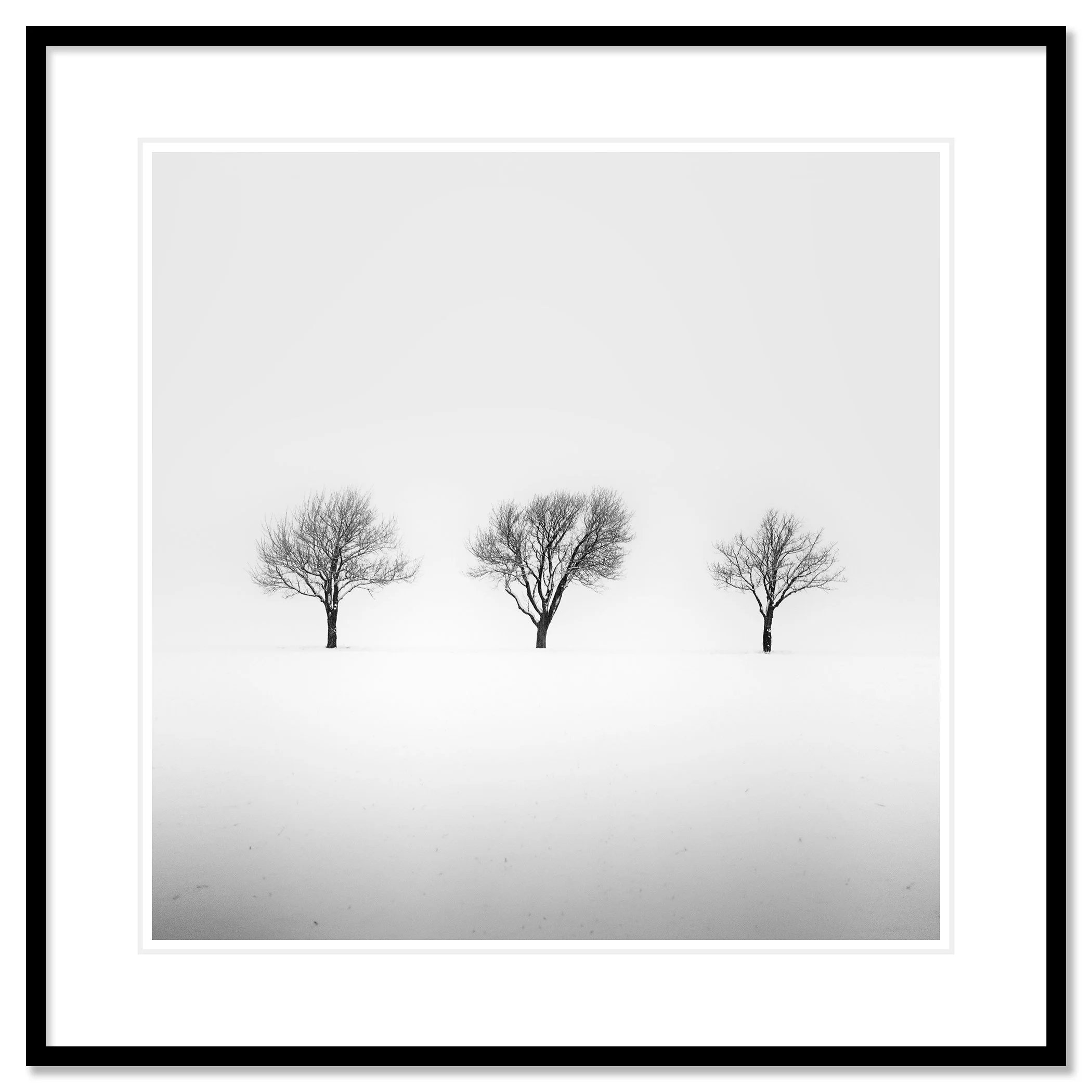 Three Trees in a Snowy Field, Study 2 in a black aluminium frame with white mount by Gerald Berghammer.