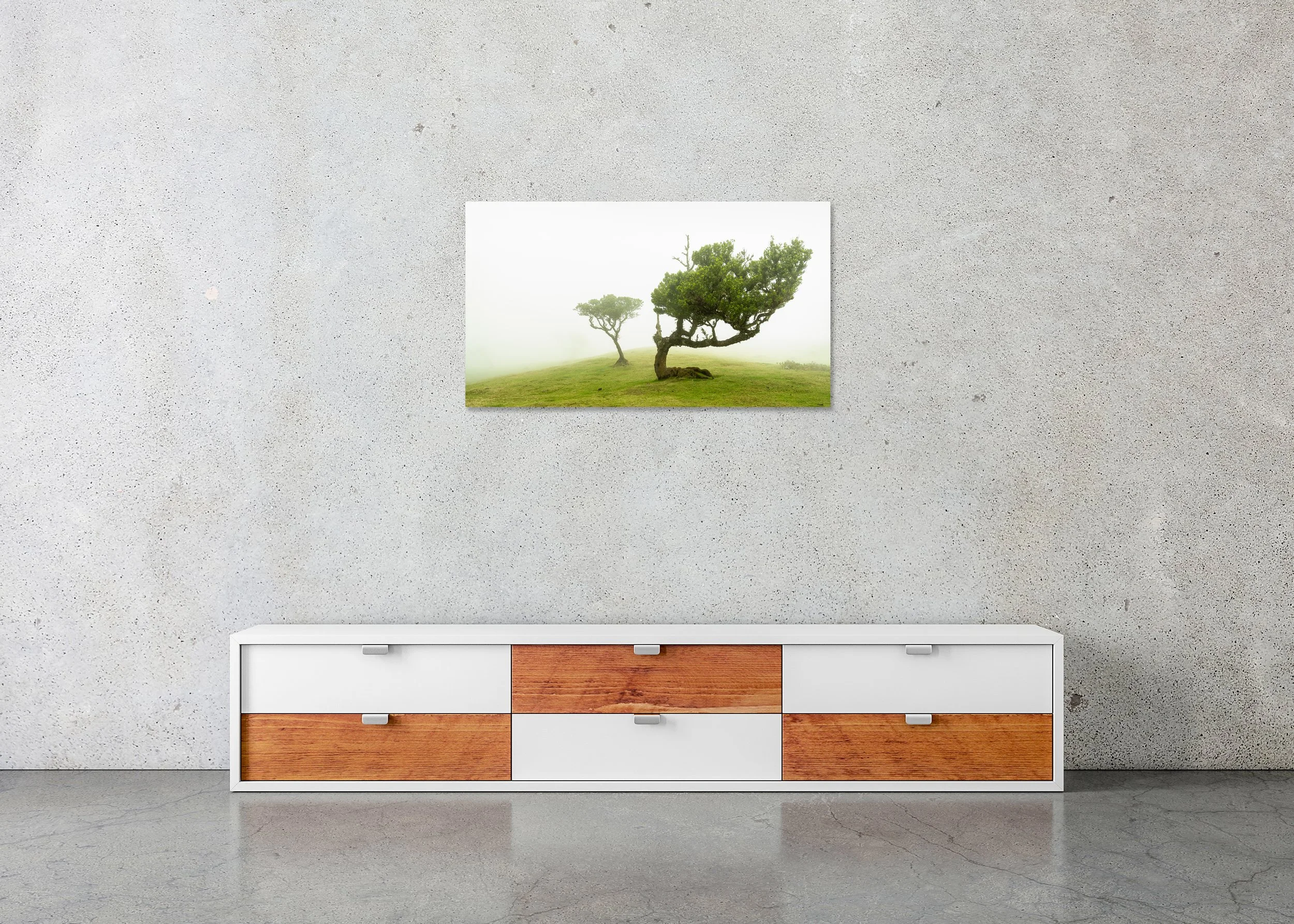 Frameless Chromaluxe image by Gerald Berghammer depicting a misty green hillside with wind-shaped trees emerging from soft fog, presented as contemporary fine art with a sleek, modern finish.