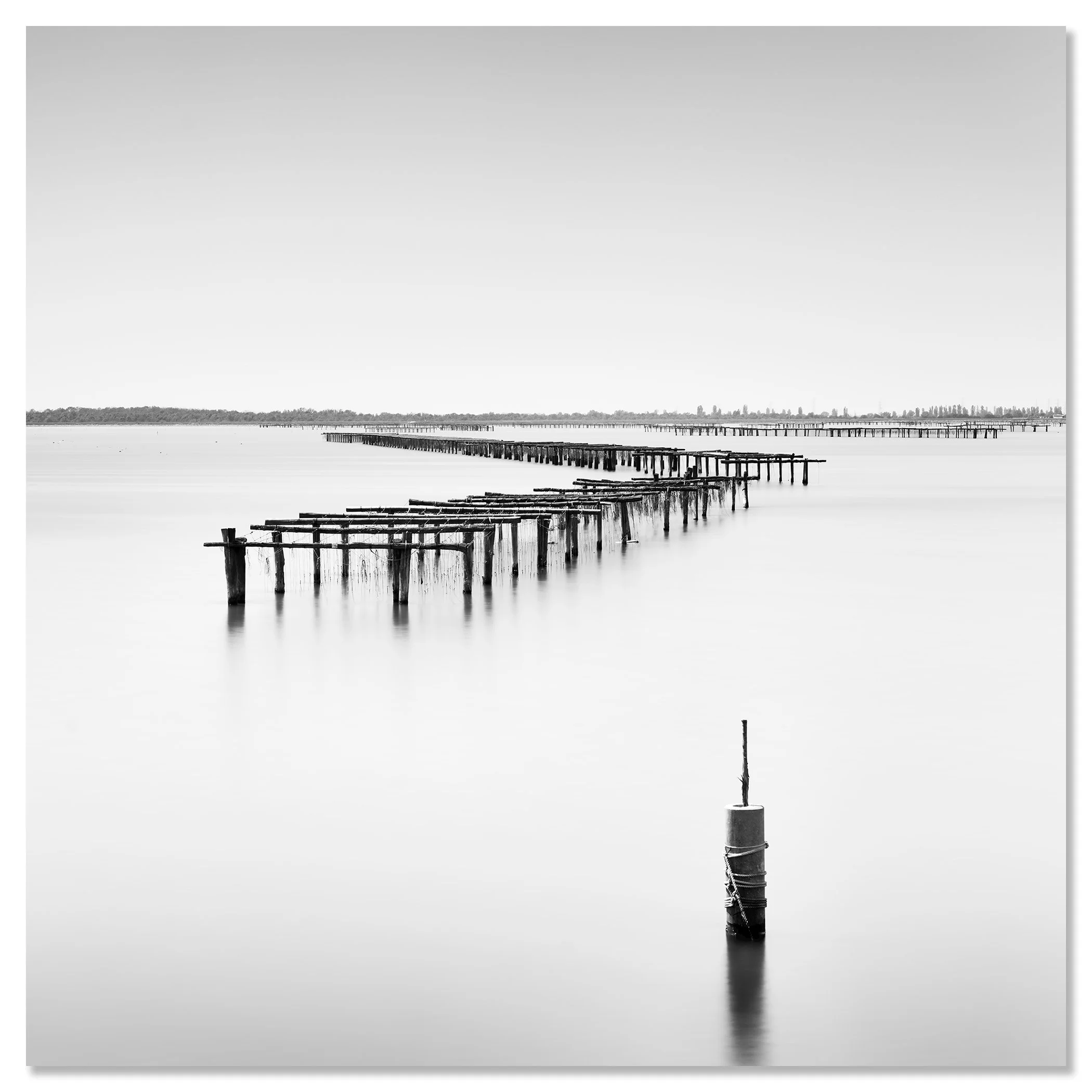 Aquaculture Structures Study 4 shown as a frameless black-and-white aluminium Dibond print by Gerald Berghammer.