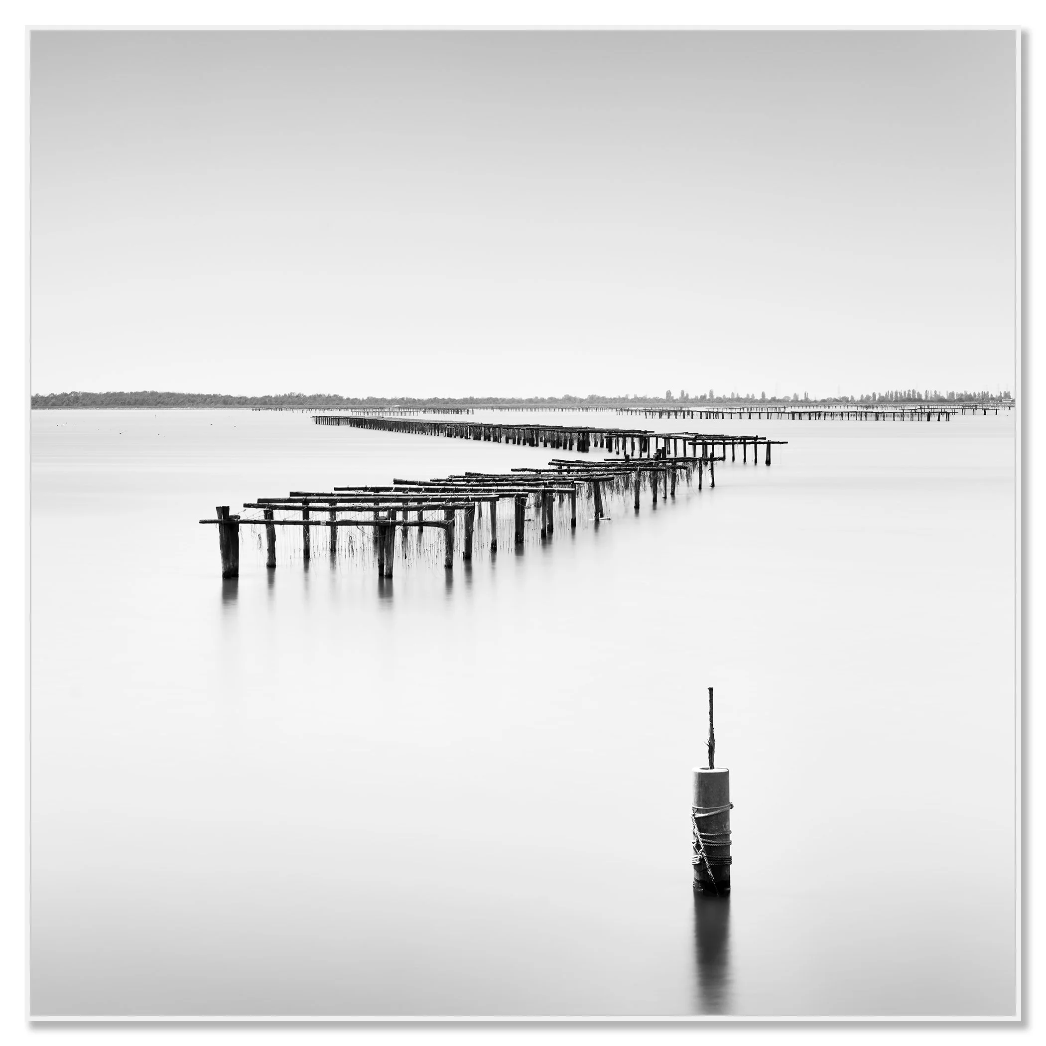 Aquaculture Structures Study 4 mounted on aluminium Dibond in a white ArtBox frame by Gerald Berghammer.