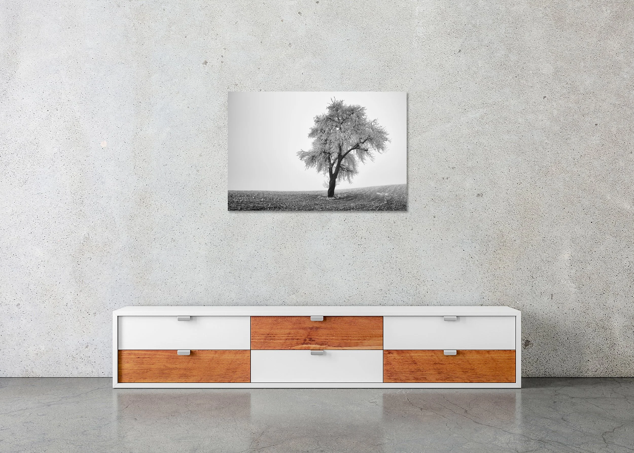 Minimalist black and white photograph of a lone frost-covered tree standing in a quiet winter field. ChromaLuxe Metal Print – Frameless
