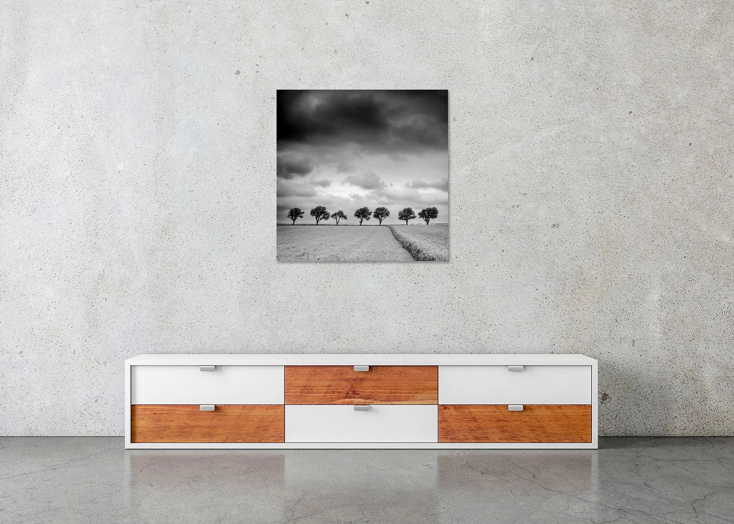 Trees at the Edge of a Field, Study 1 – frameless photograph on aluminium Dibond above a sideboard in a minimalist interior. Photo by Gerald Berghammer.