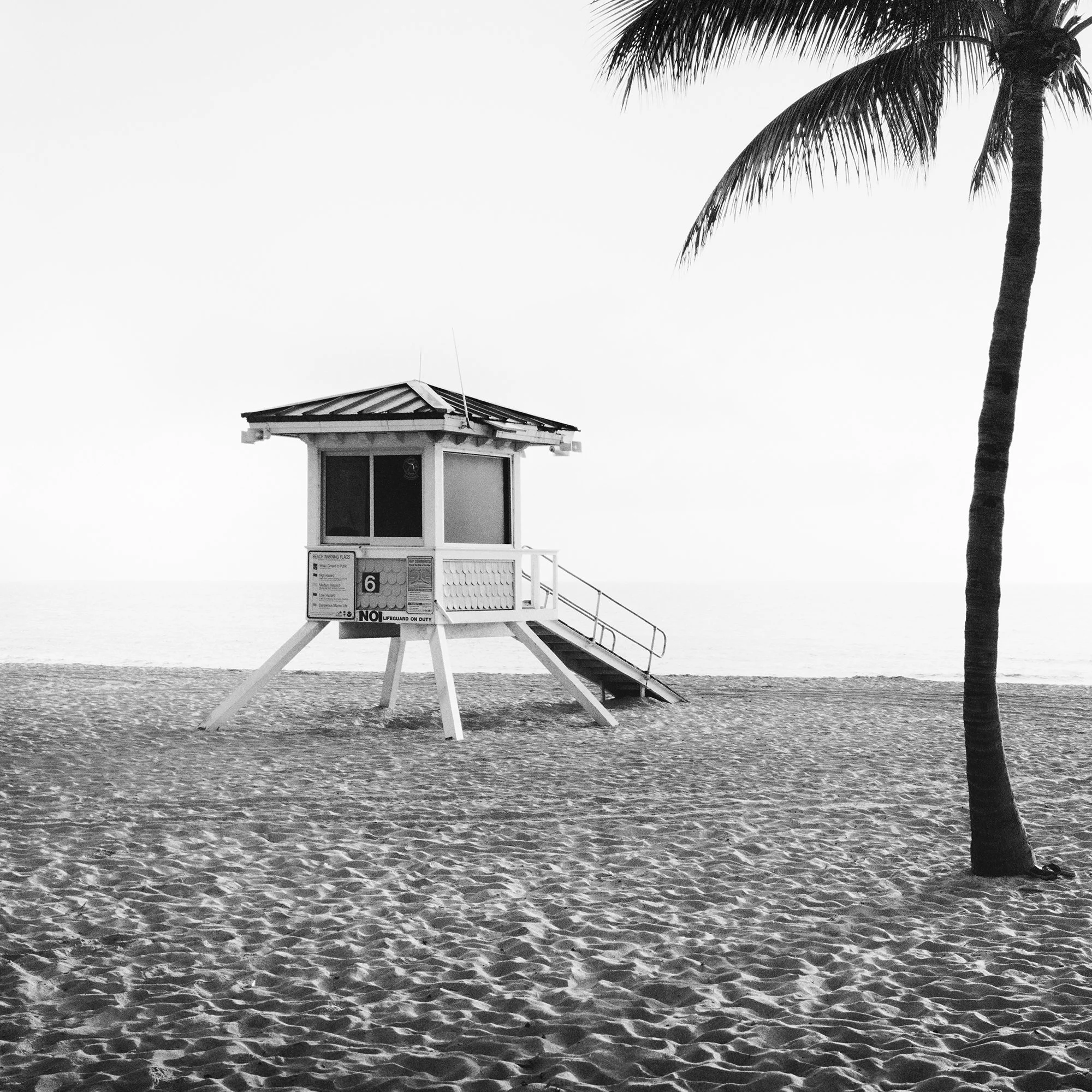 Detail of Fort Lauderdale Beach Study 3 by Gerald Berghammer showing the lifeguard tower and palm tree on Fort Lauderdale Beach.
