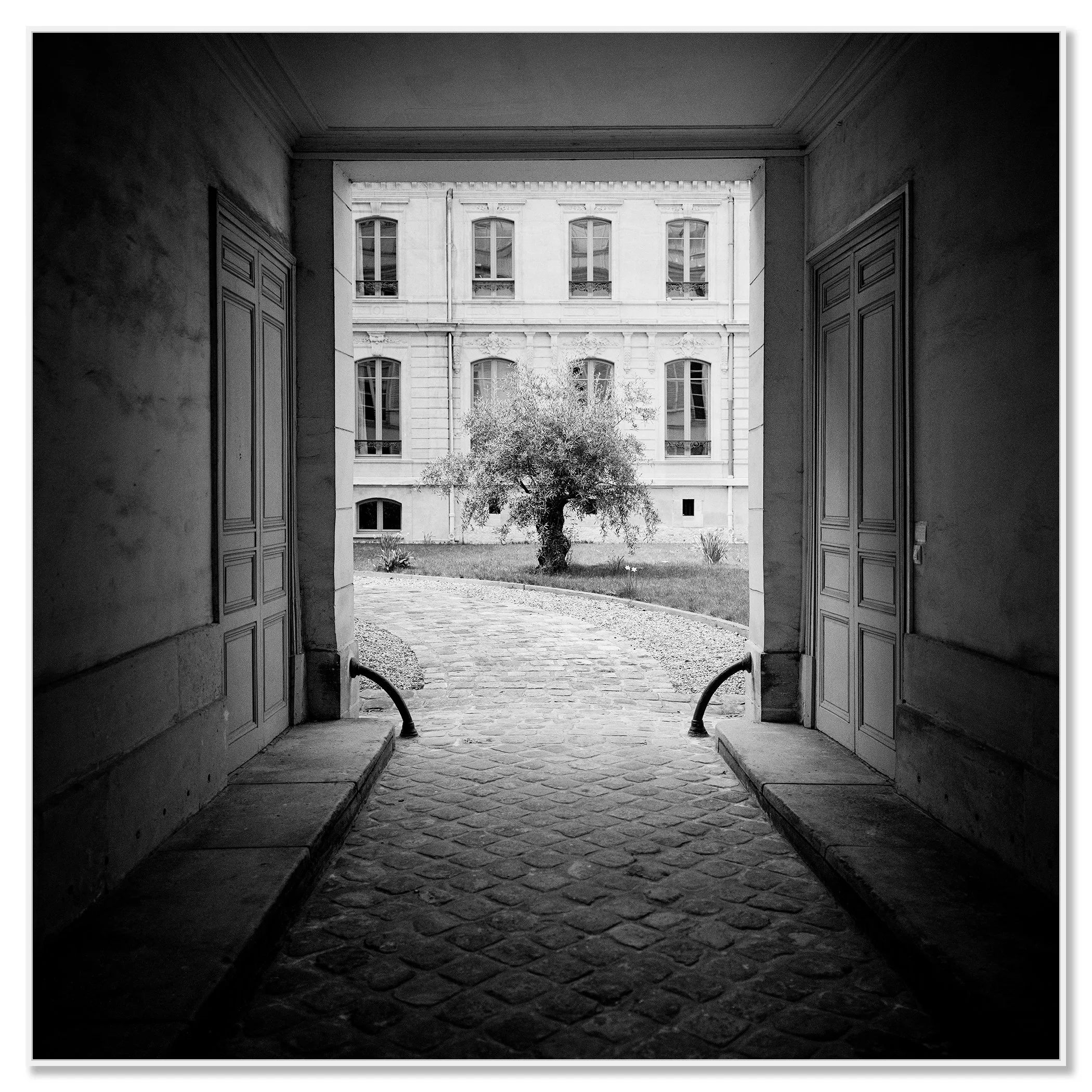 Tree in the Courtyard mounted on aluminium Dibond in a white ArtBox frame by Gerald Berghammer.