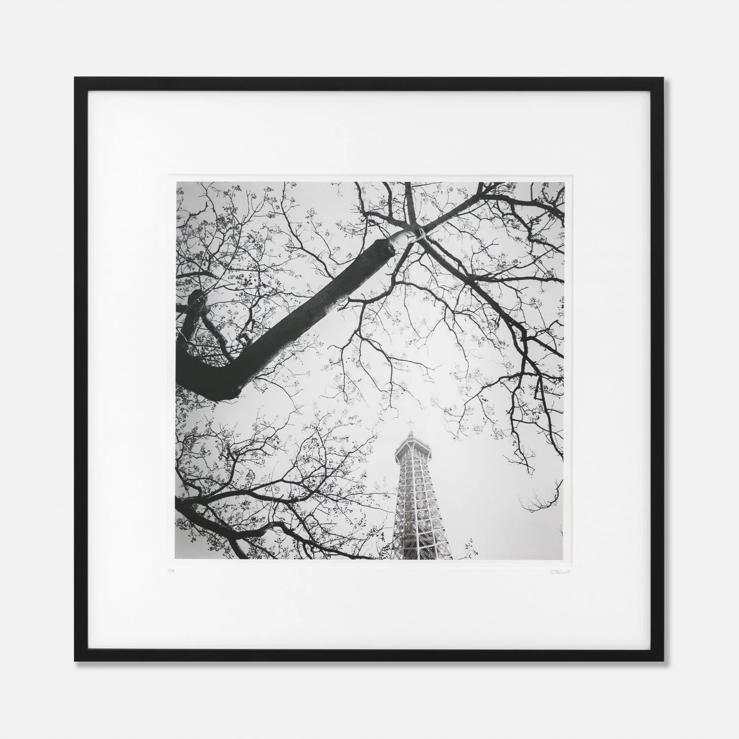 Framed Tree and the Tower by Gerald Berghammer, showing the Eiffel Tower through tree branches in Paris, France.