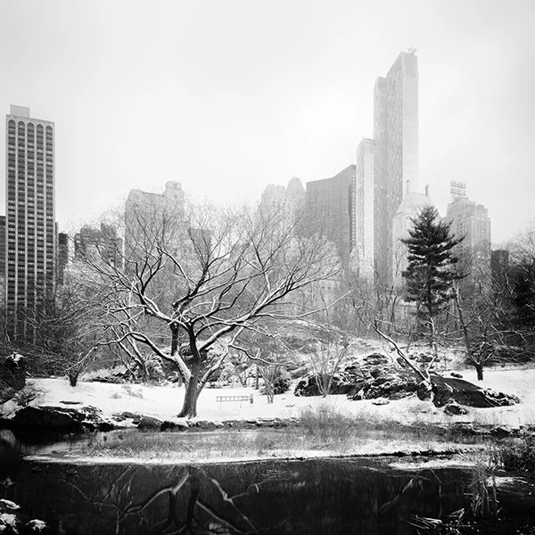 Snow-covered Central Park with leafless trees and Manhattan skyscrapers, black-and-white photograph by Gerald Berghammer.