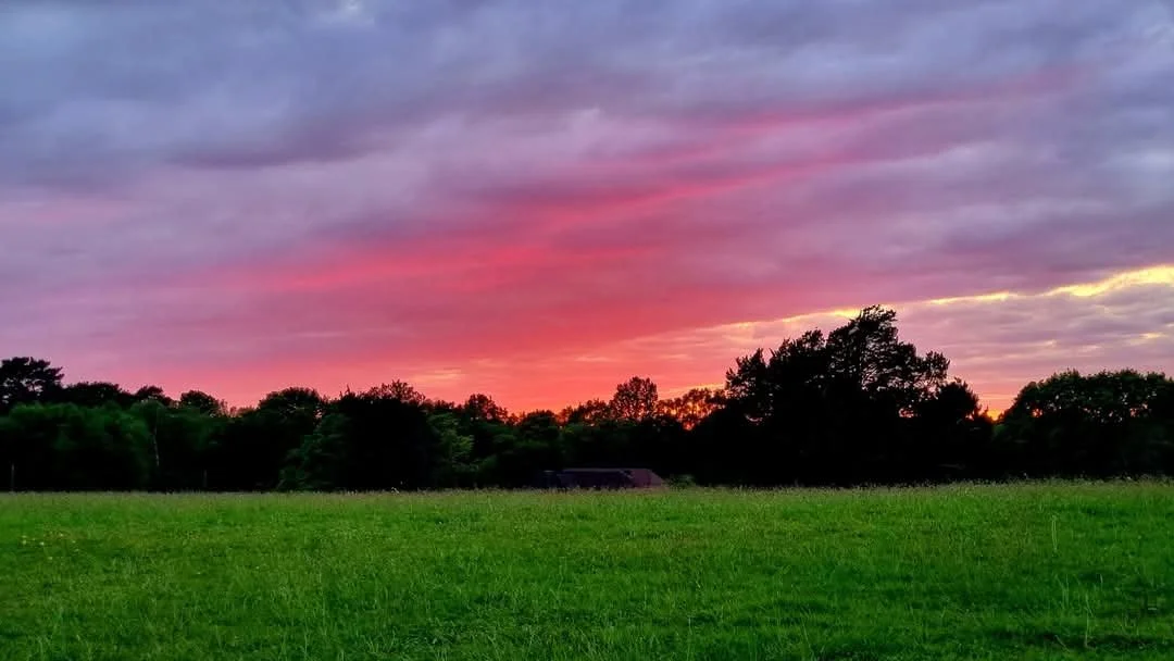 WhatsApp Image 2025-05-05 at 19.45.08_250cf7dd.jpg