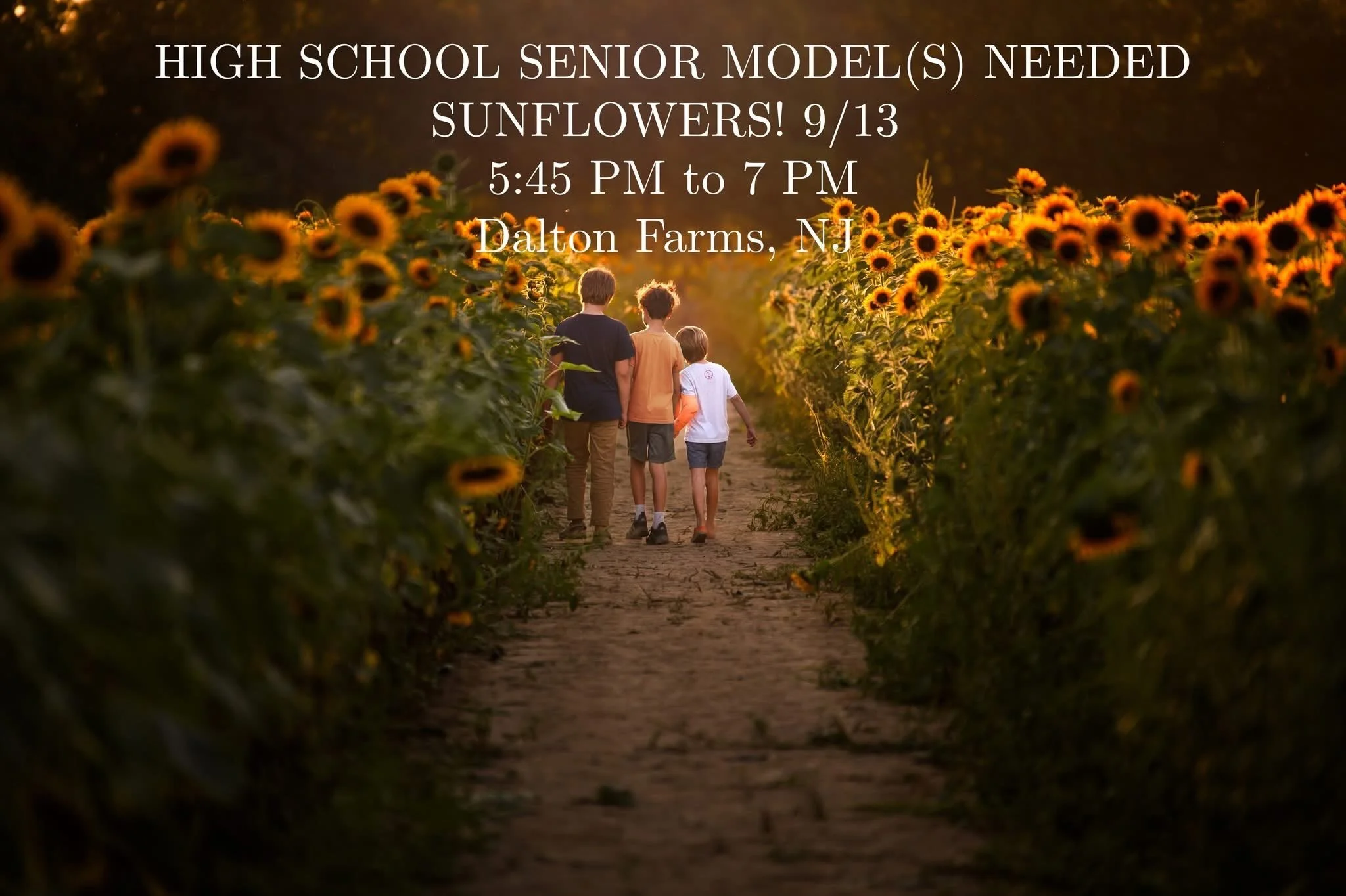 High School Senior Portrait Model Call for a Sunflower Sess!!!!
We will meet me at Dalton Farms (about 30 minutes from The Main Line) on Sunday, 9/13 for a FREE senior portrait session.  We will coordinate on clothing and styling and meet at the incr