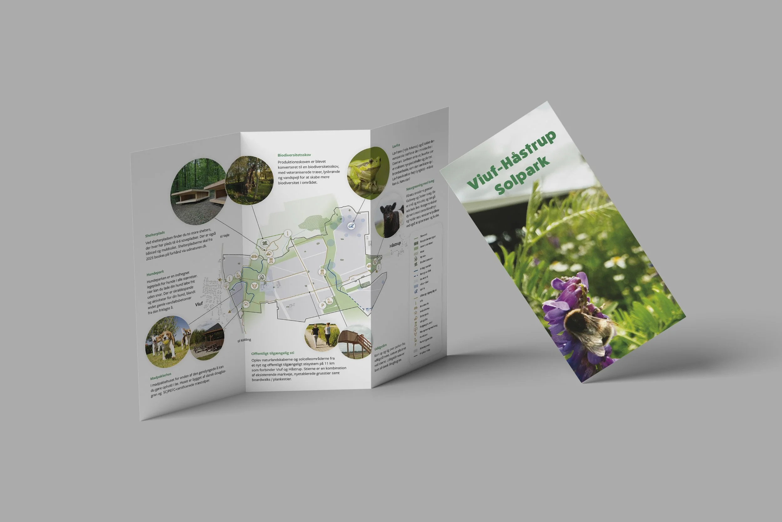BE_VIUF_Floating_Trifold_Brochure_01.jpg