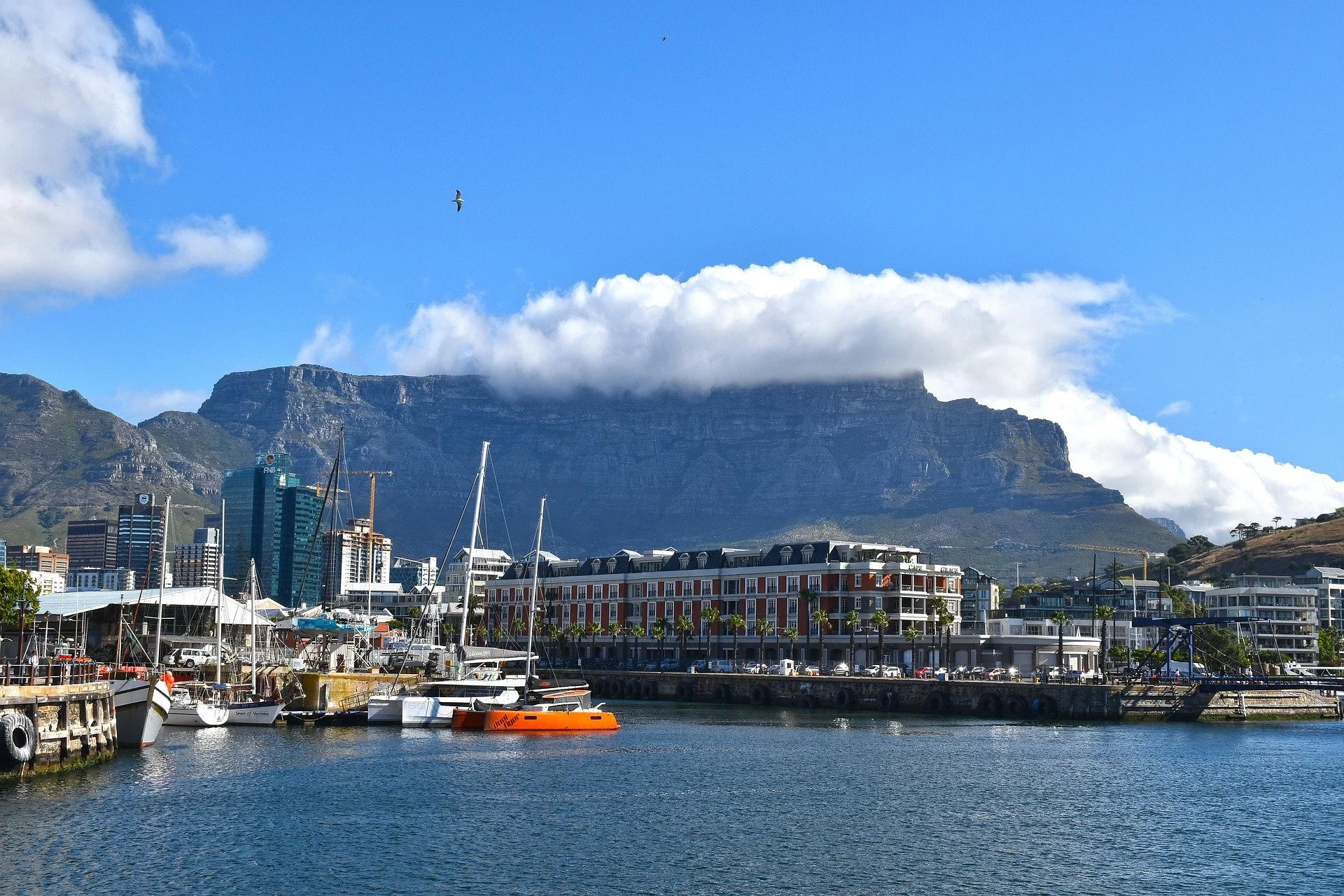South Africa Travel Adventures 2025: Cape Town, Kruger, Garden Route & Durban