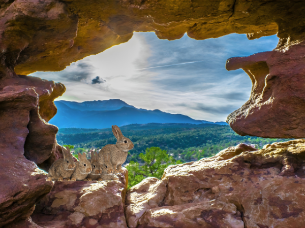 Garden of the Gods, Colorado.png