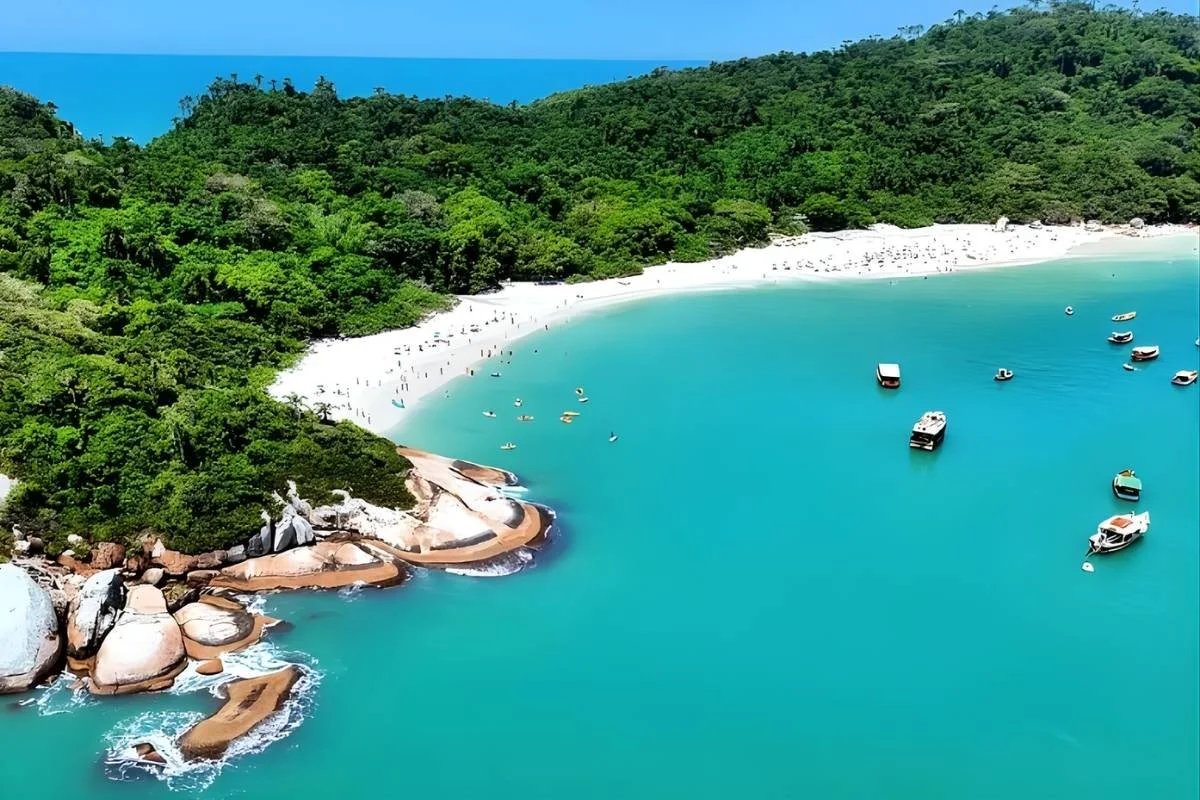 Campeche Island - Speedboat.$86.03 .jpg