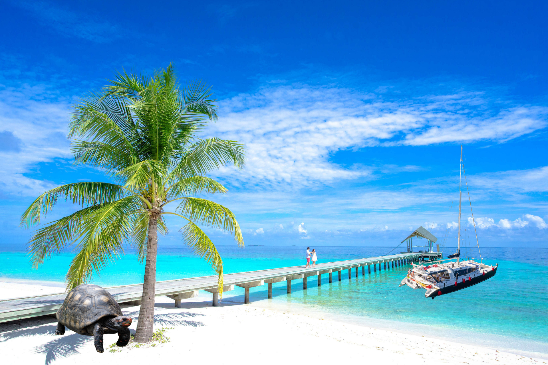 Explore Mauritius and Hotels