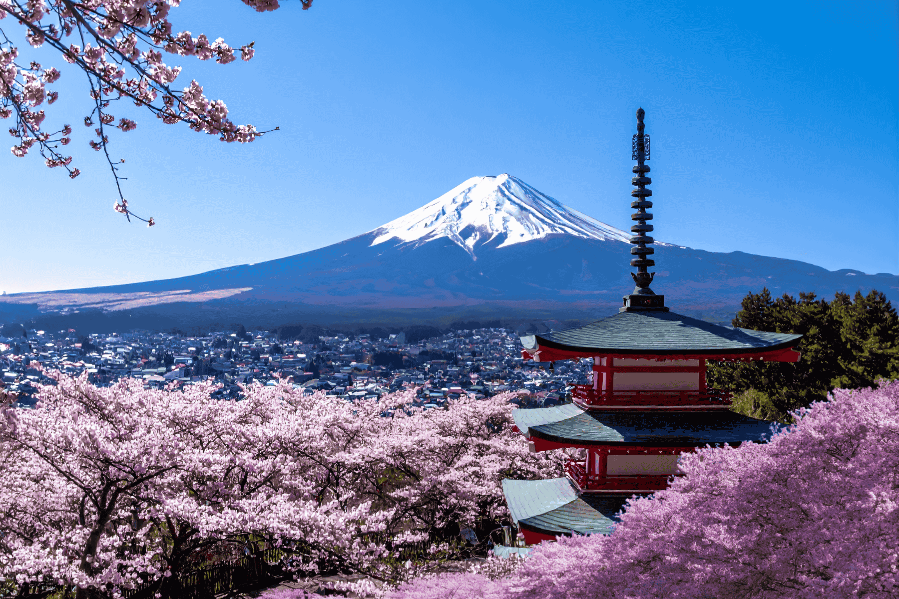 Japan tours and things to do