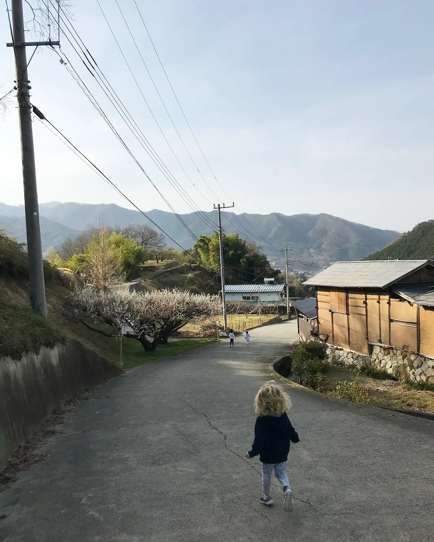 Experience the beauty of Yamanashi in early spring, where peach and cherry blossoms bloom in quiet villages away from the crowds. 

Stay in a carefully restored 200-year-old thatched-roof house, once a silkworm farmhouse, now preserved by the Yamanas