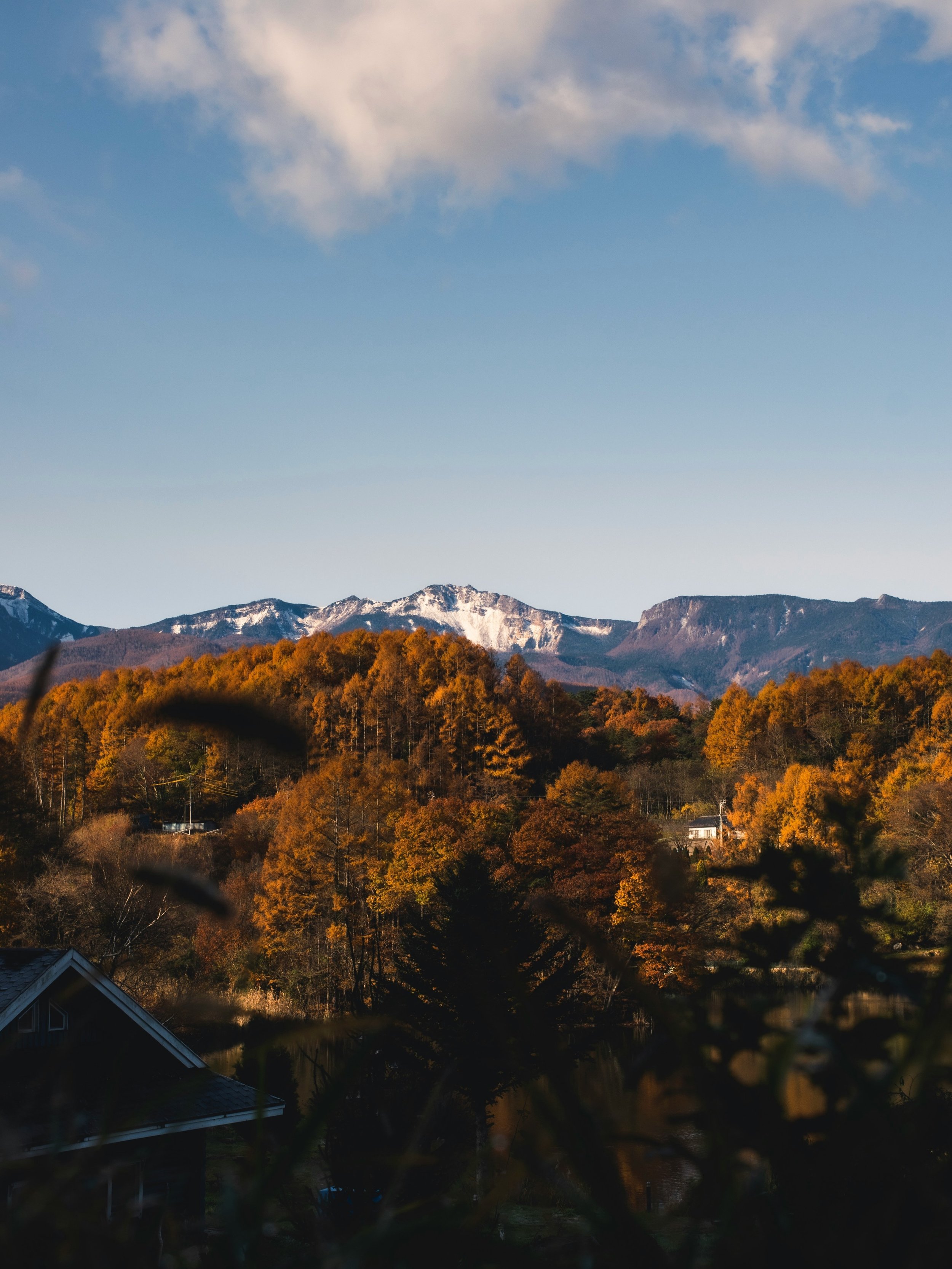 The colors rival (dare we say, beat) sakura season : deep reds and golds across Kyoto&rsquo;s temples, Nikko&rsquo;s mountains, and Tokyo&rsquo;s parks.

🍂 Crisp, comfortable temps : no summer humidity, no winter layers. 

🍂 Fewer crowds at the spo