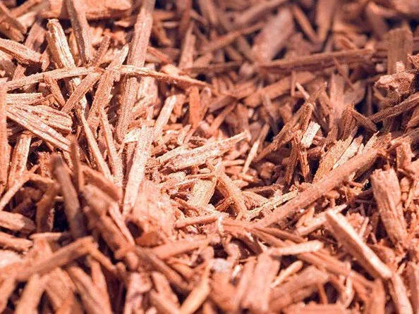 Aus Sandalwood.jpg